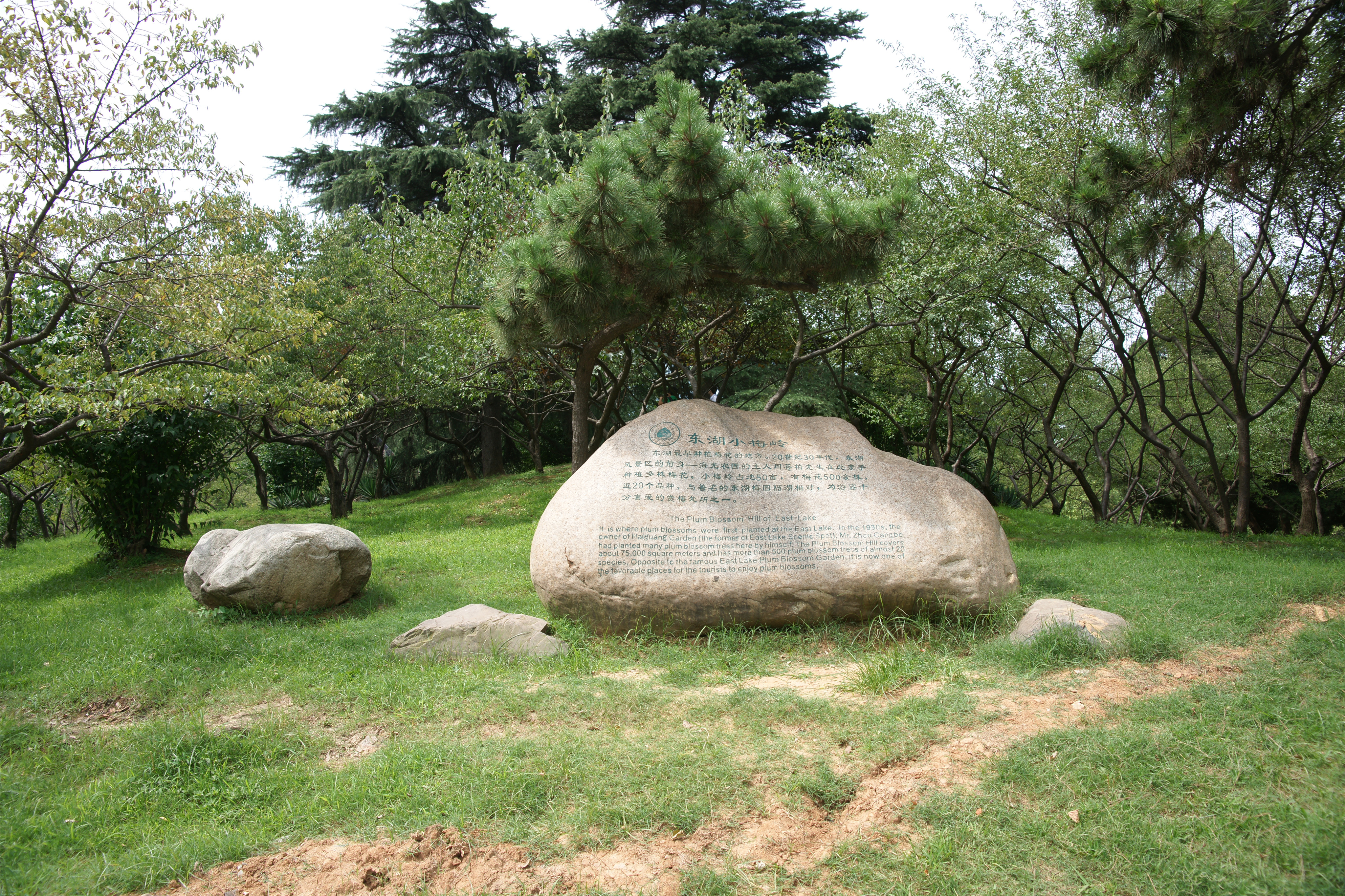 东湖小梅岭