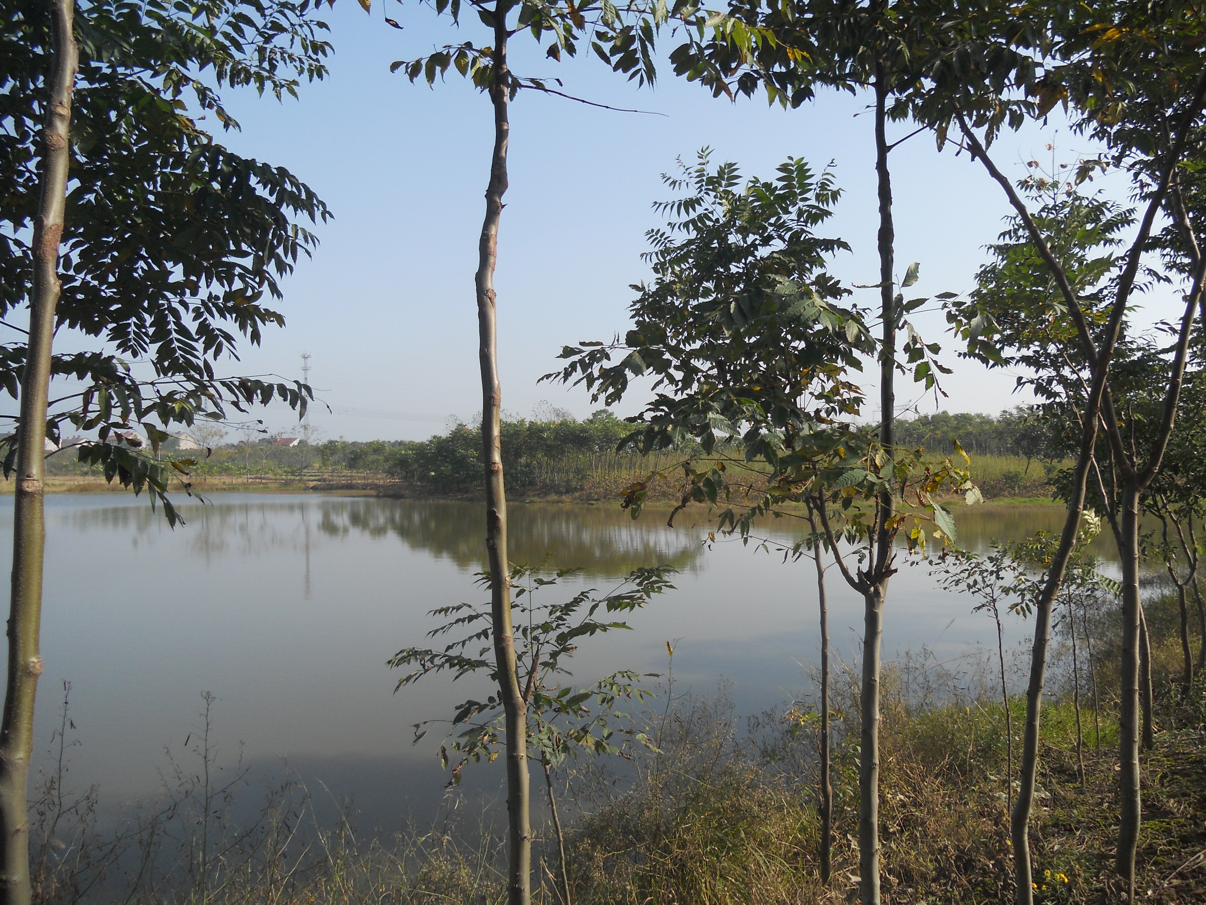 赵家大堰水库