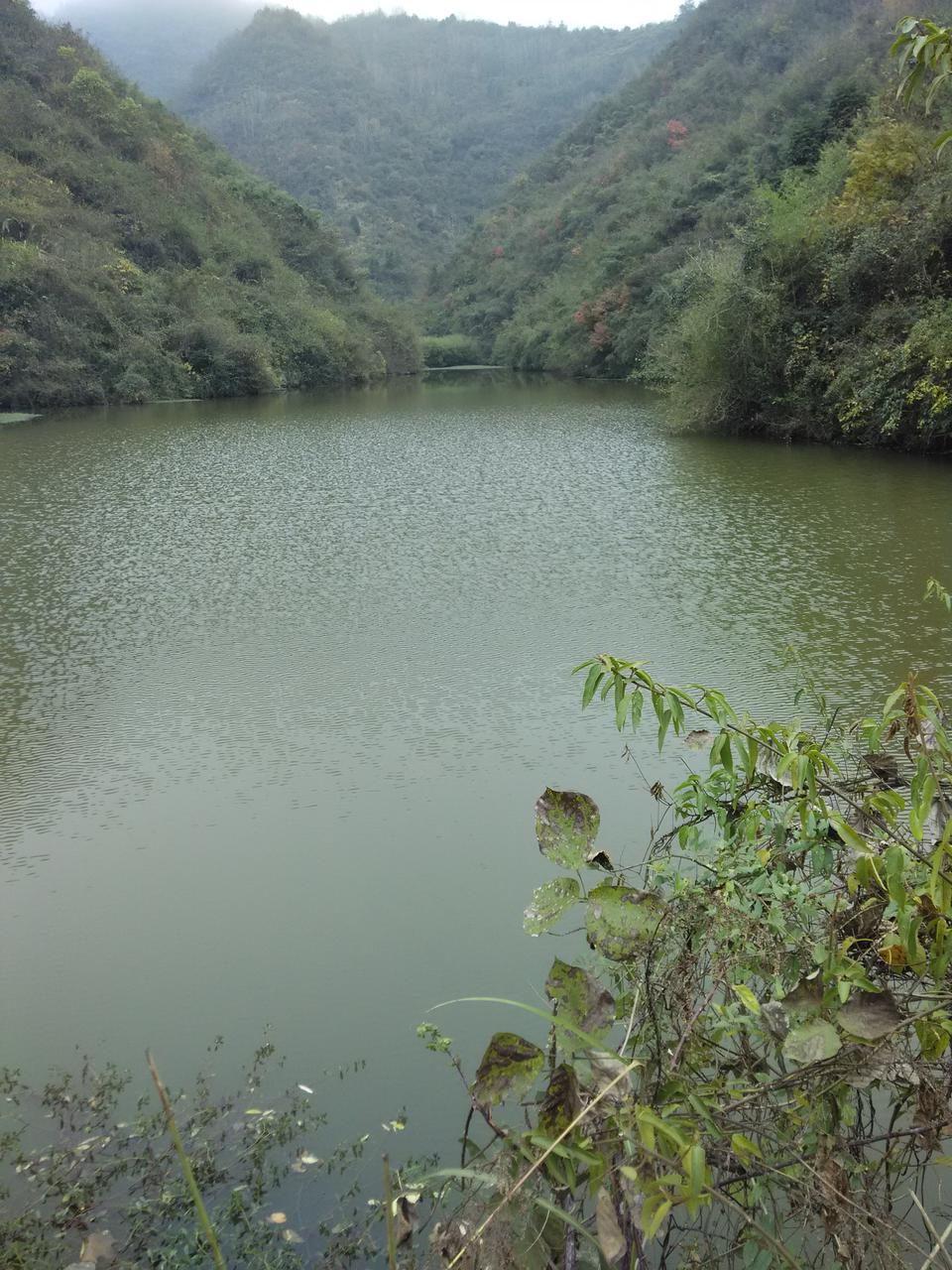 甘湾水库