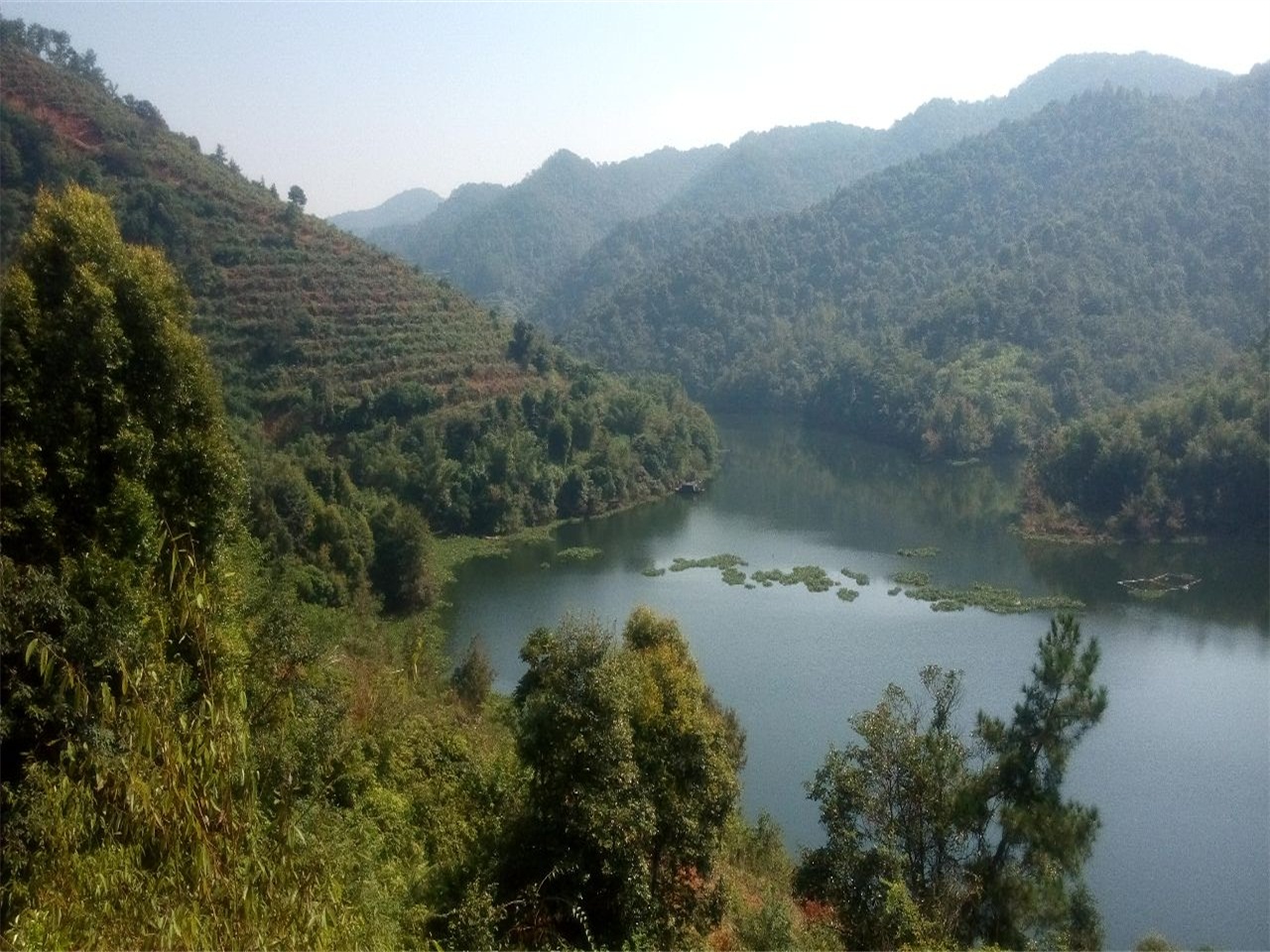 金寨村龙湖齐潭库区