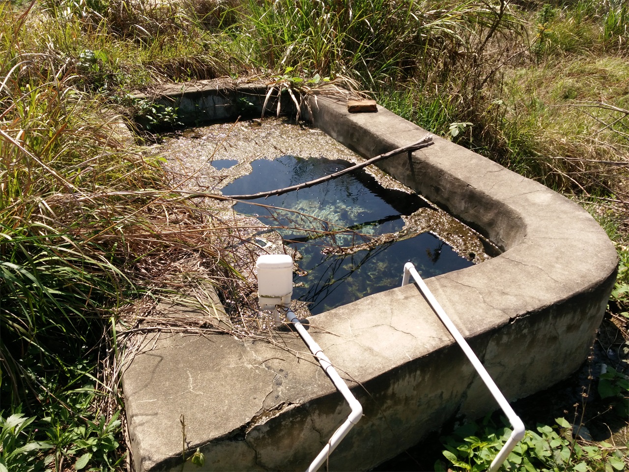 明山汤窟温泉