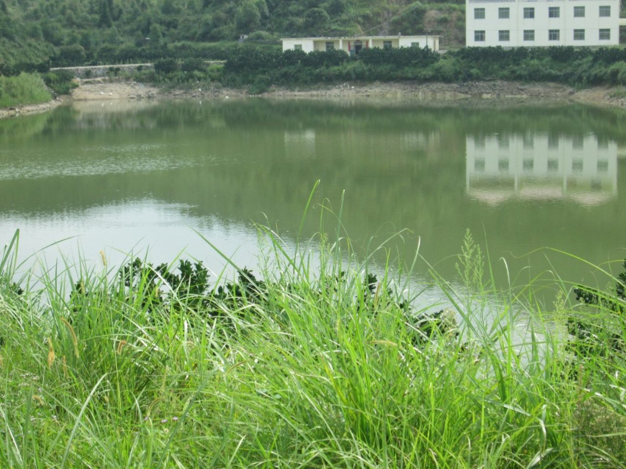 乘龙湖水库