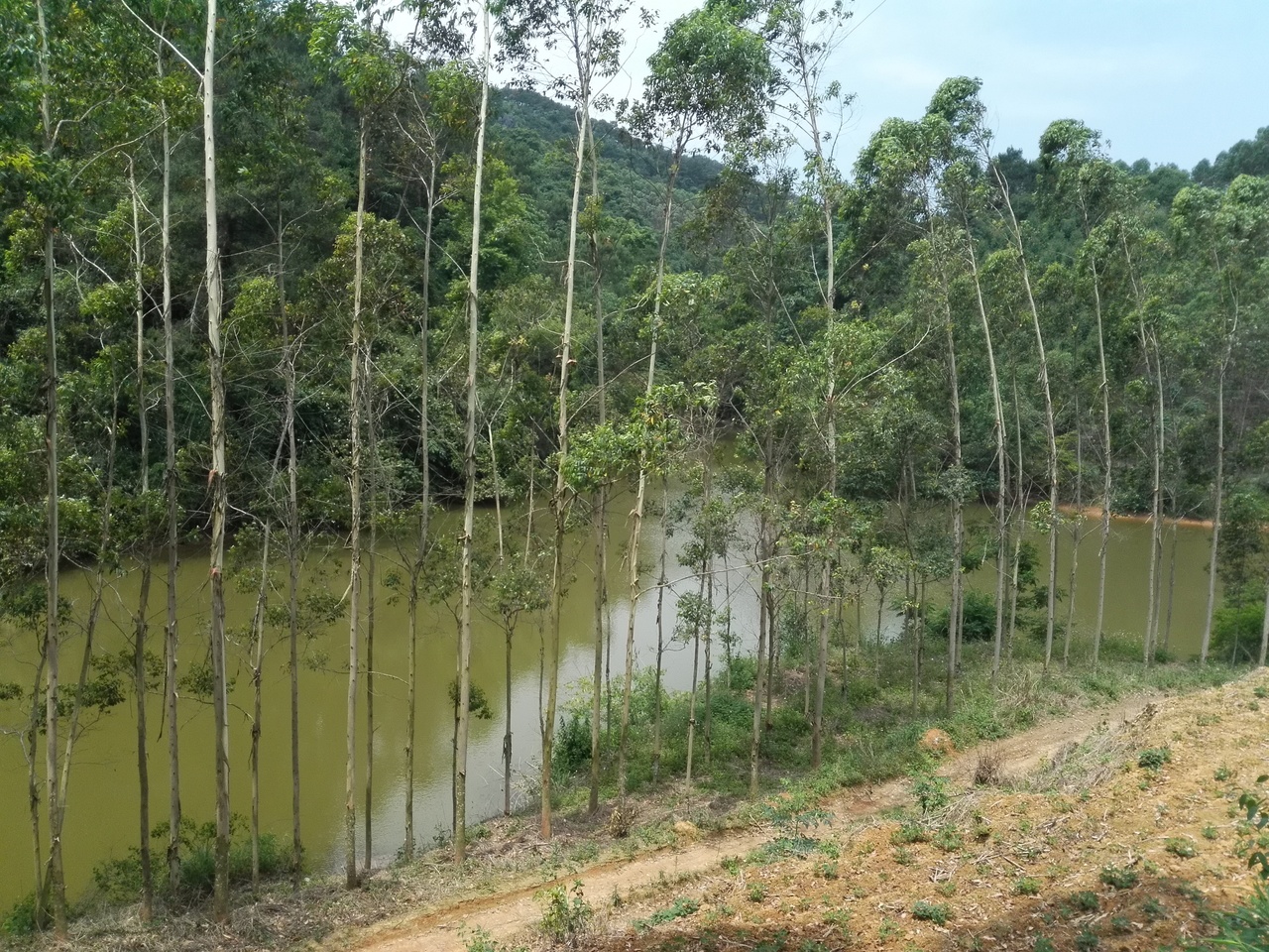 独山水库