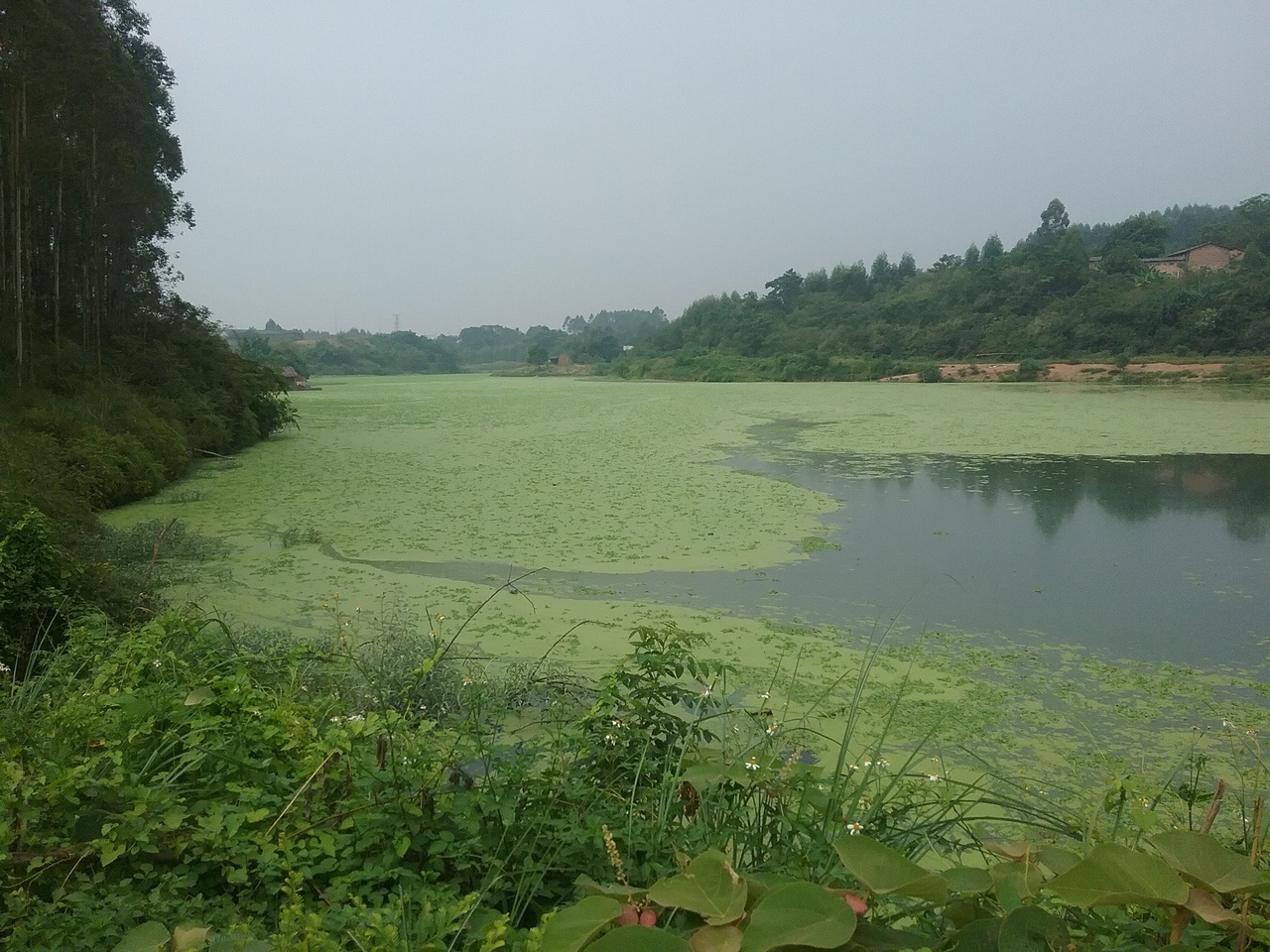 楞沙水库