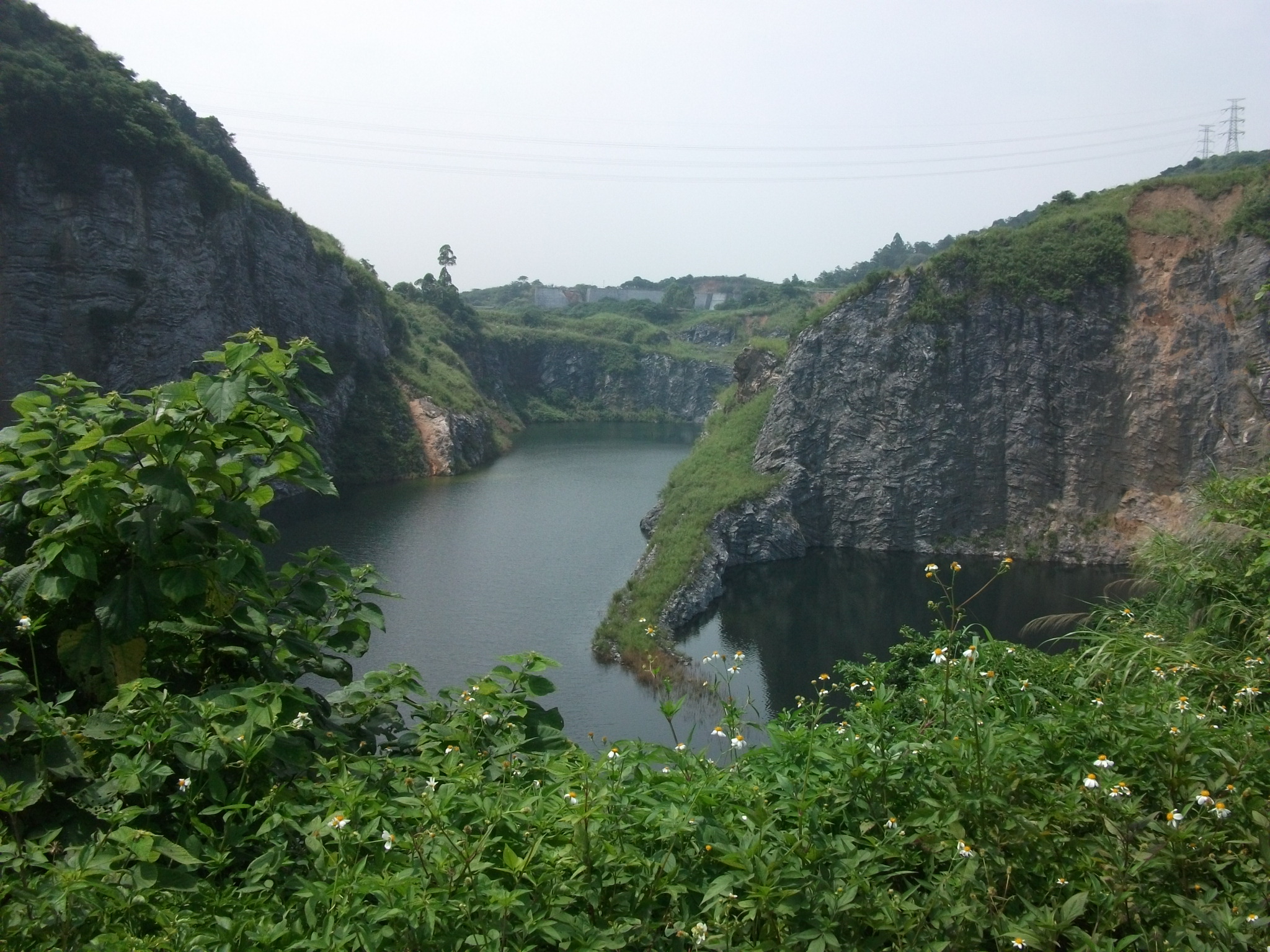 飞鼠头山塘水库