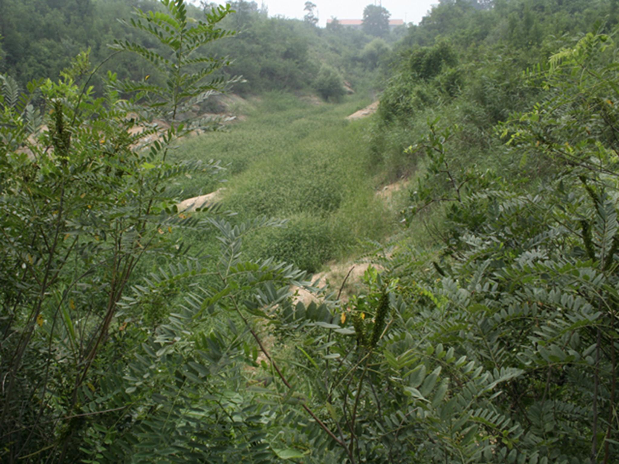 小耍栏水库