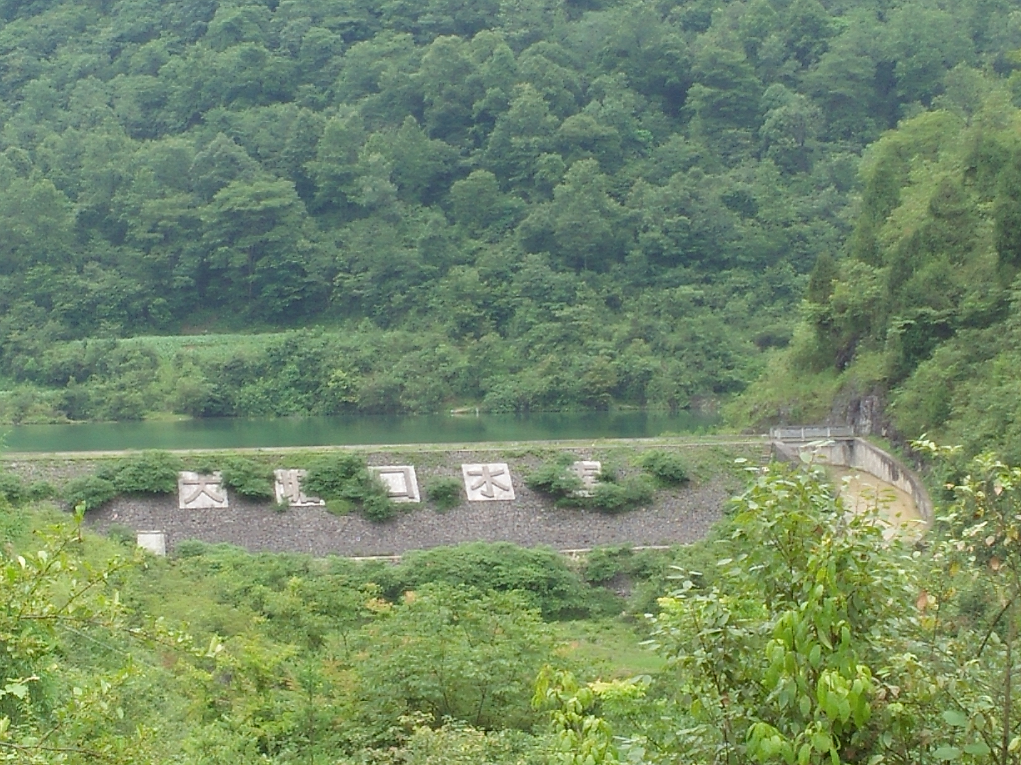 大塘口水库