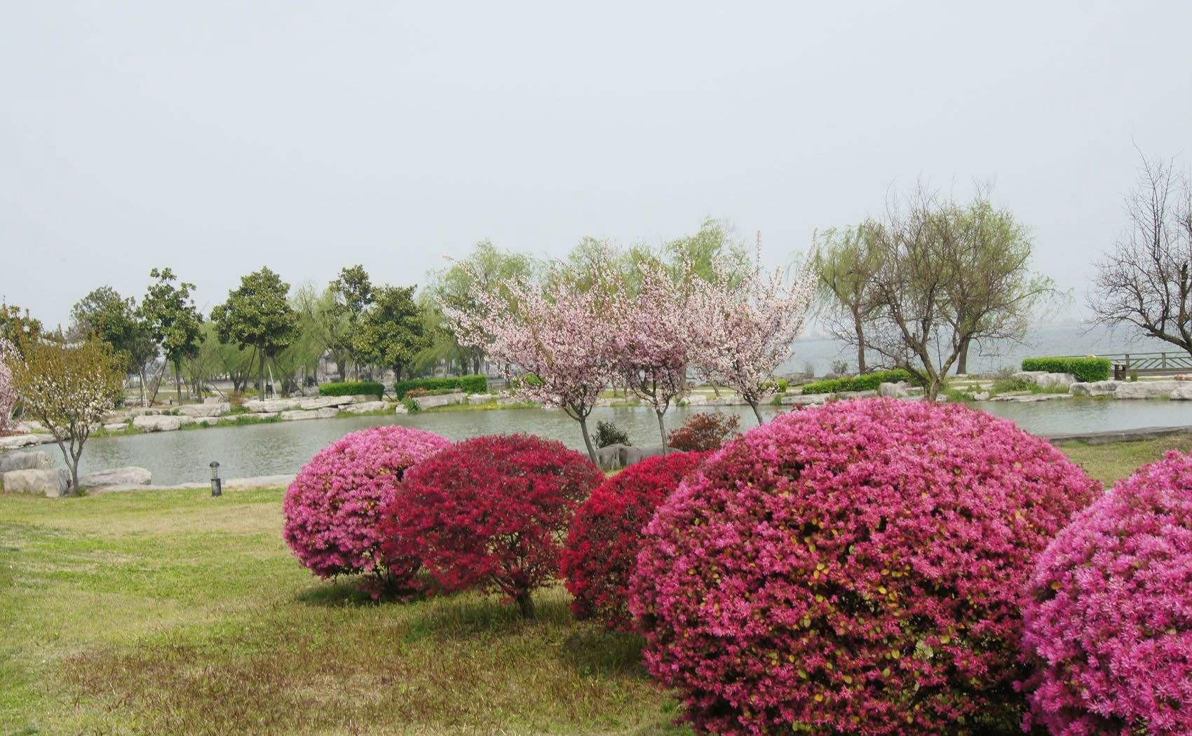 泗水万紫千红生态园图片