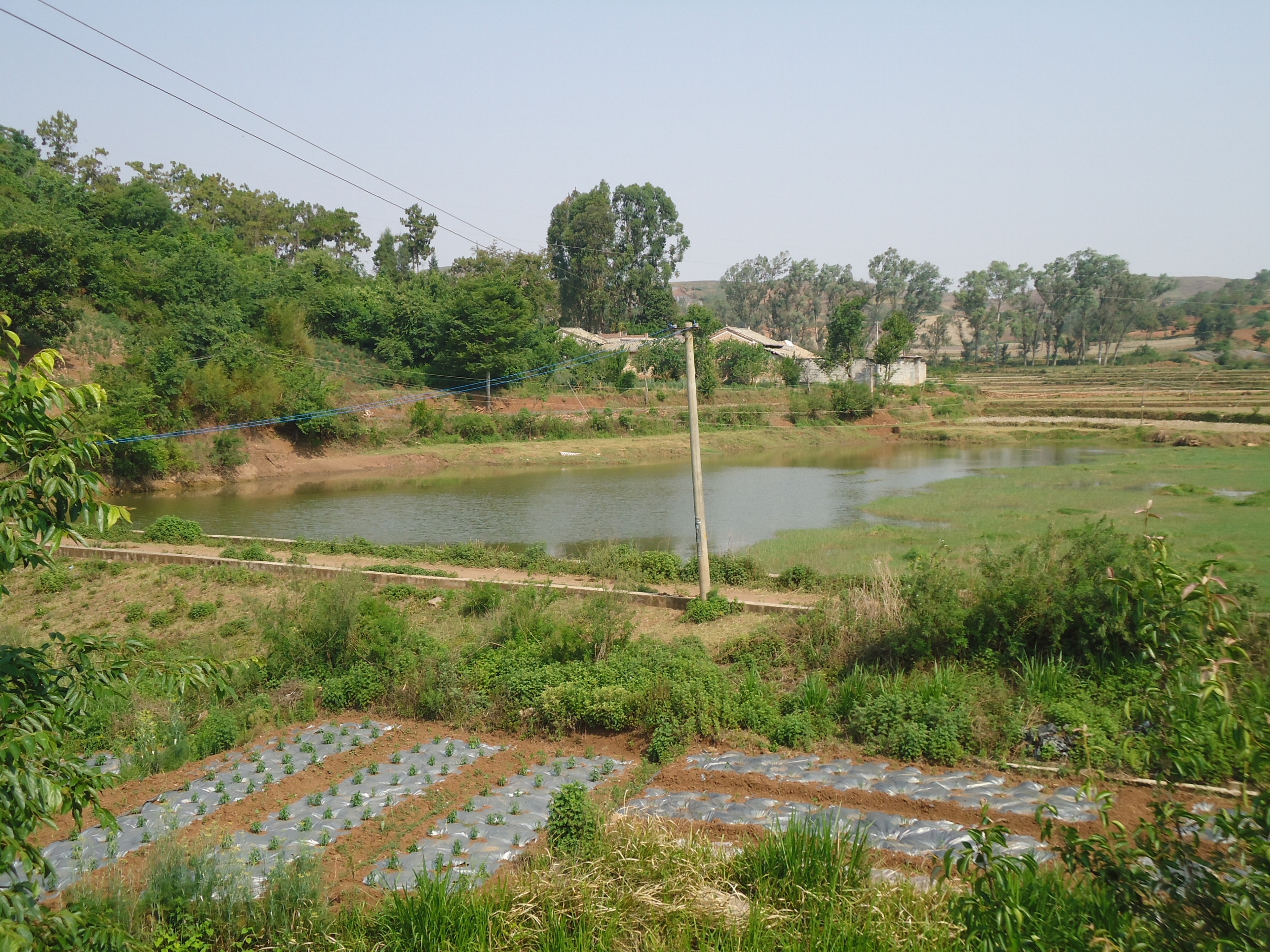 小茂克水库