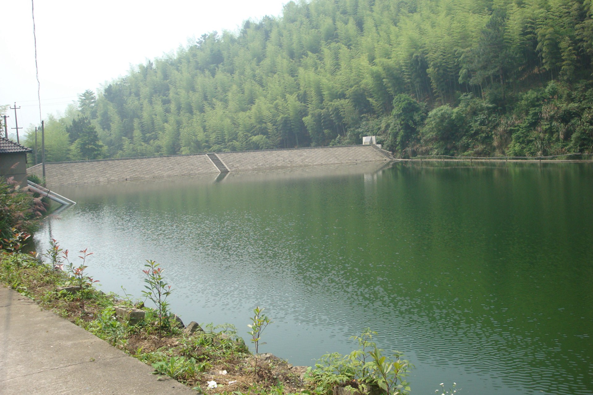 野树山一级水库