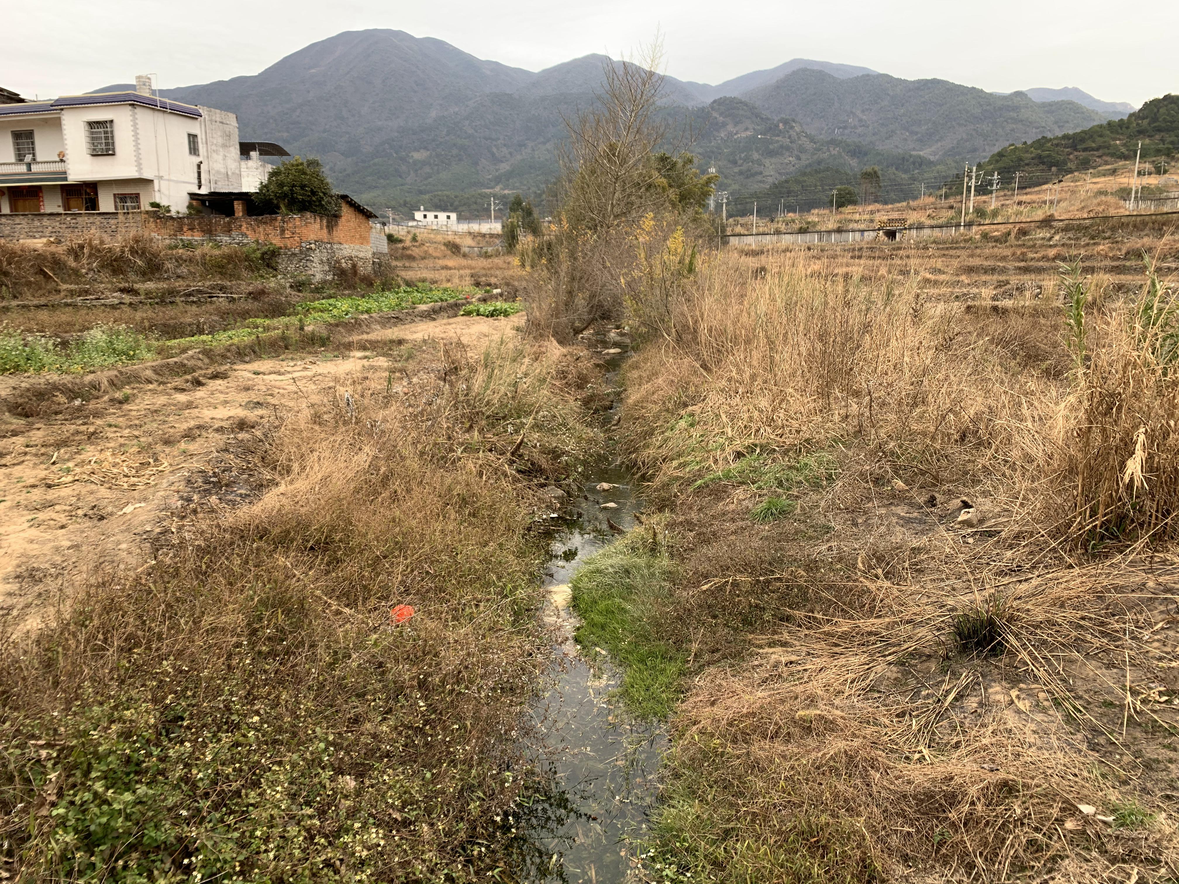 横岭河