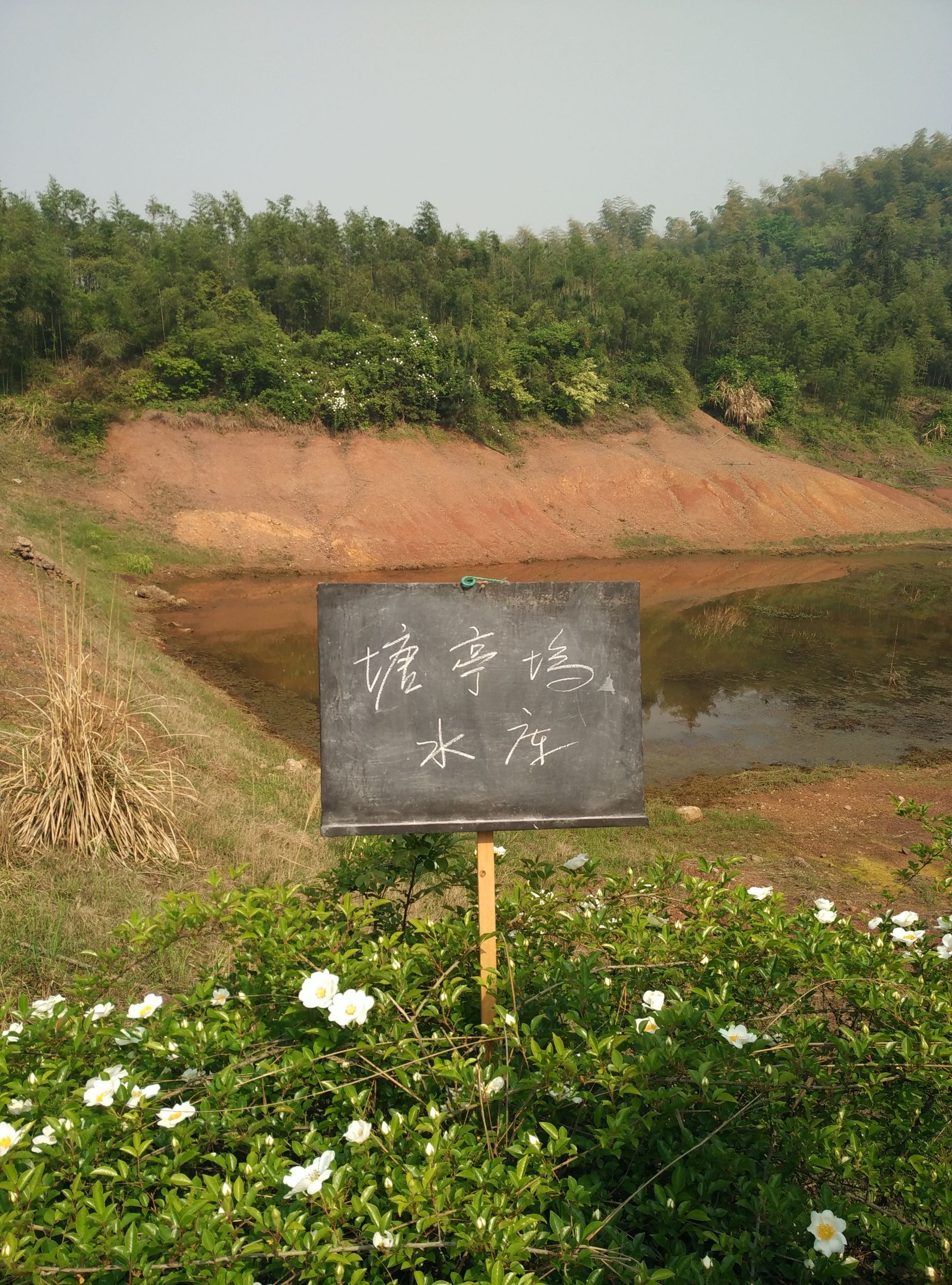 塘亭坞山塘水库