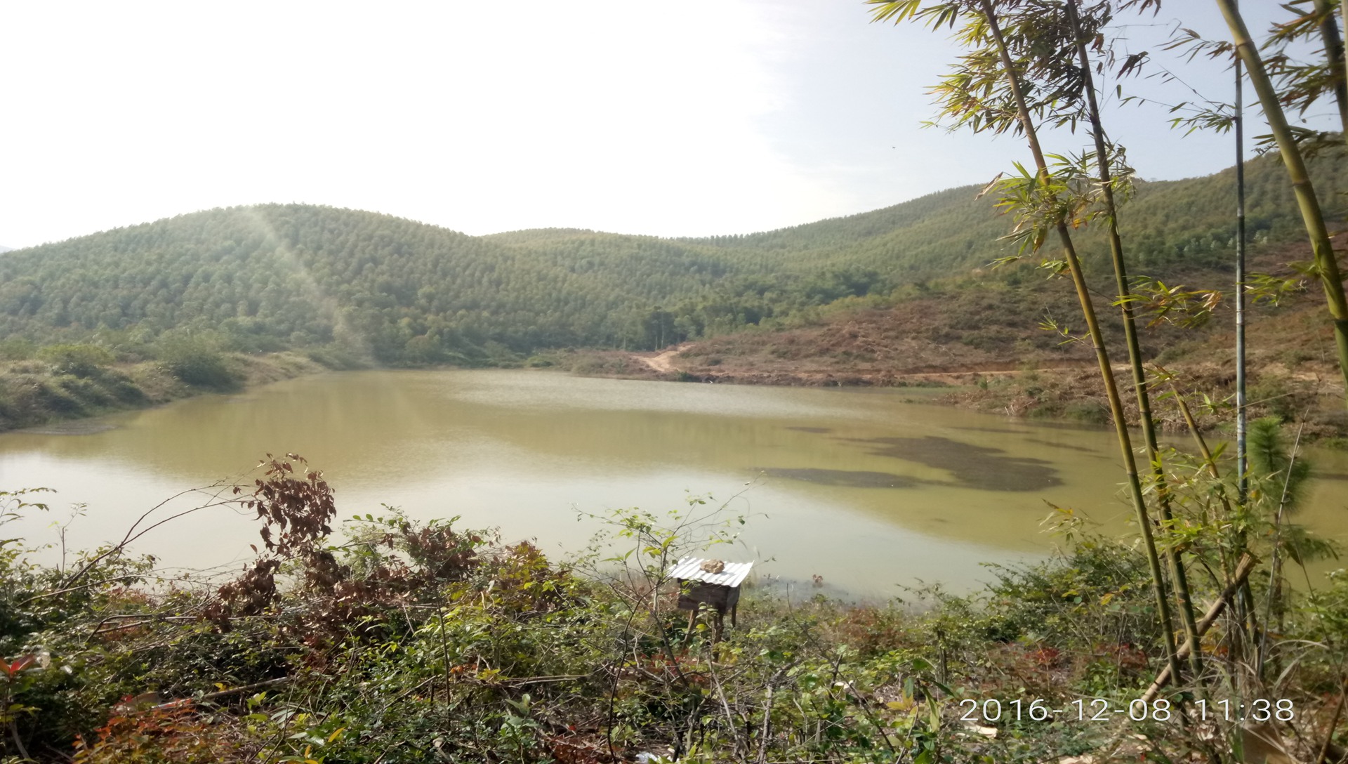 石洲水库