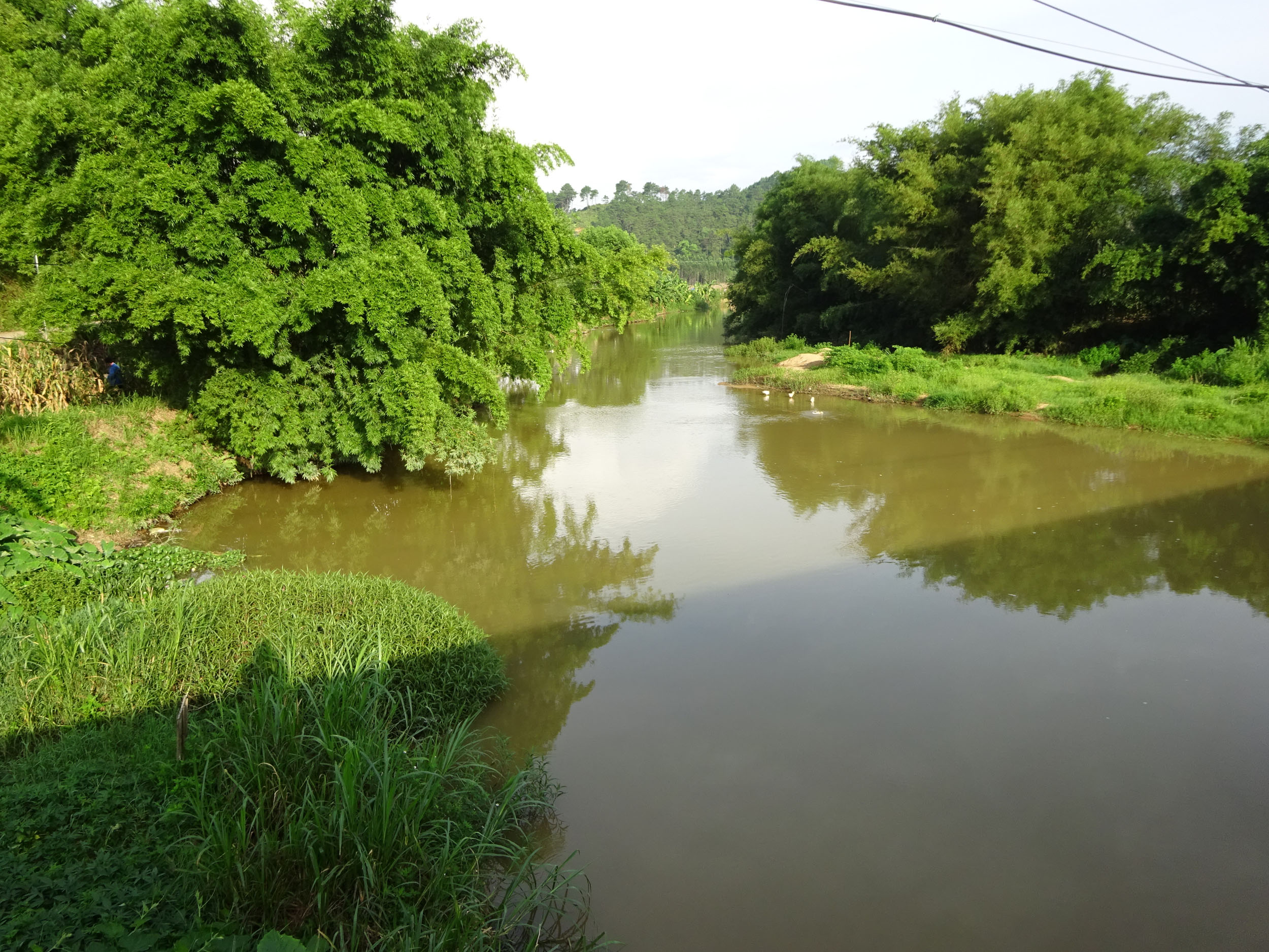 田共江