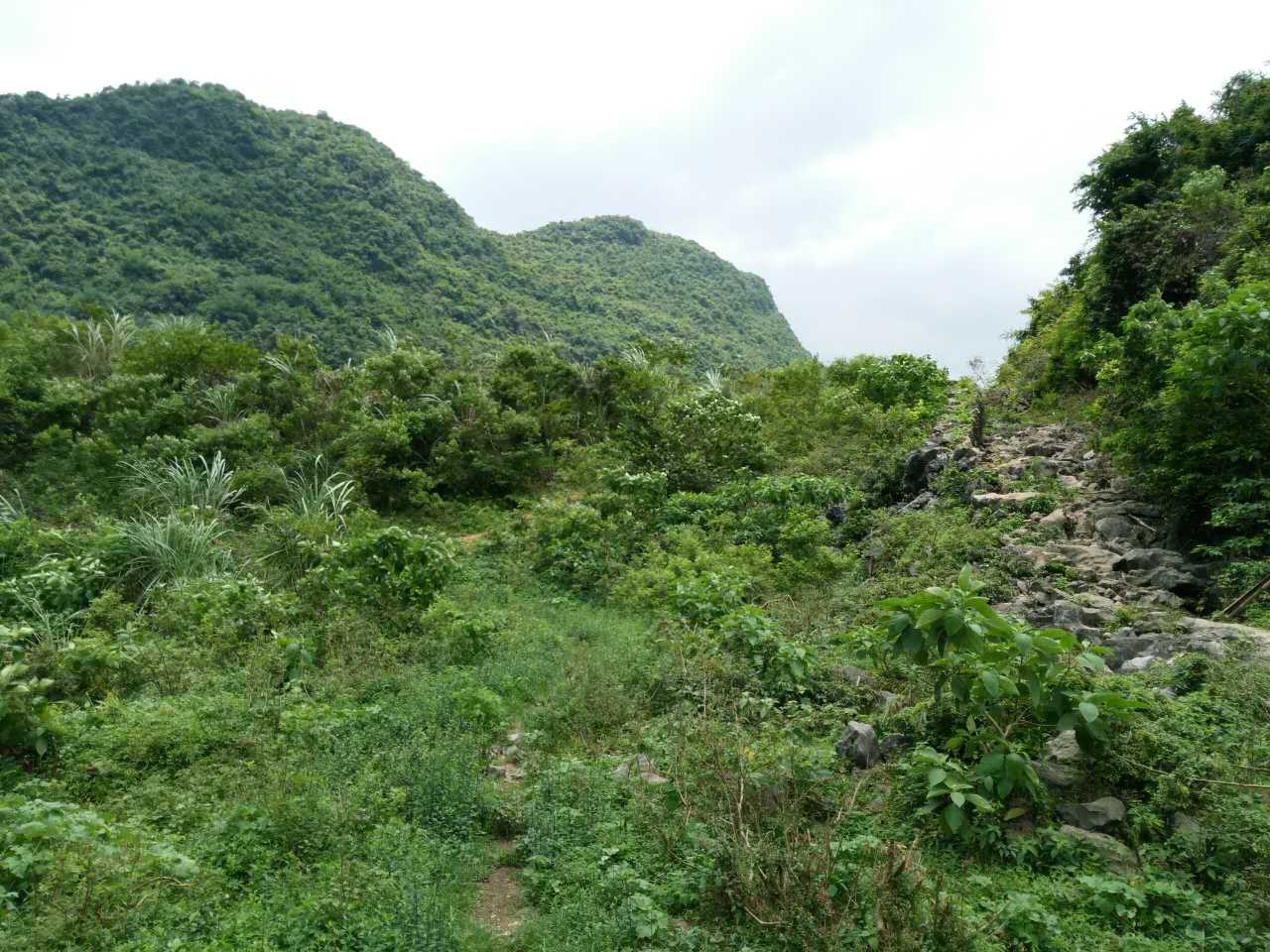 山门山塘