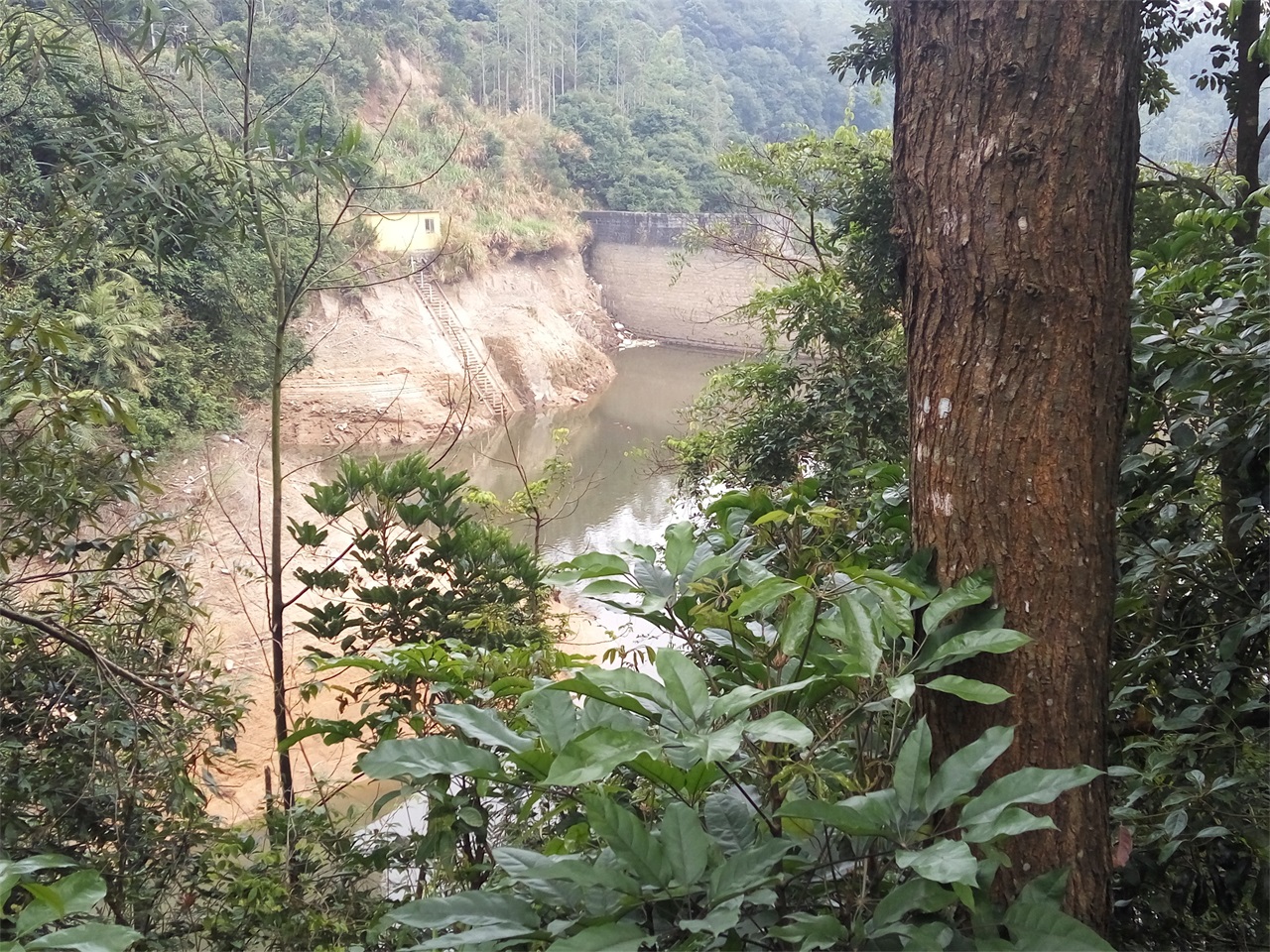 三坪东顺水库