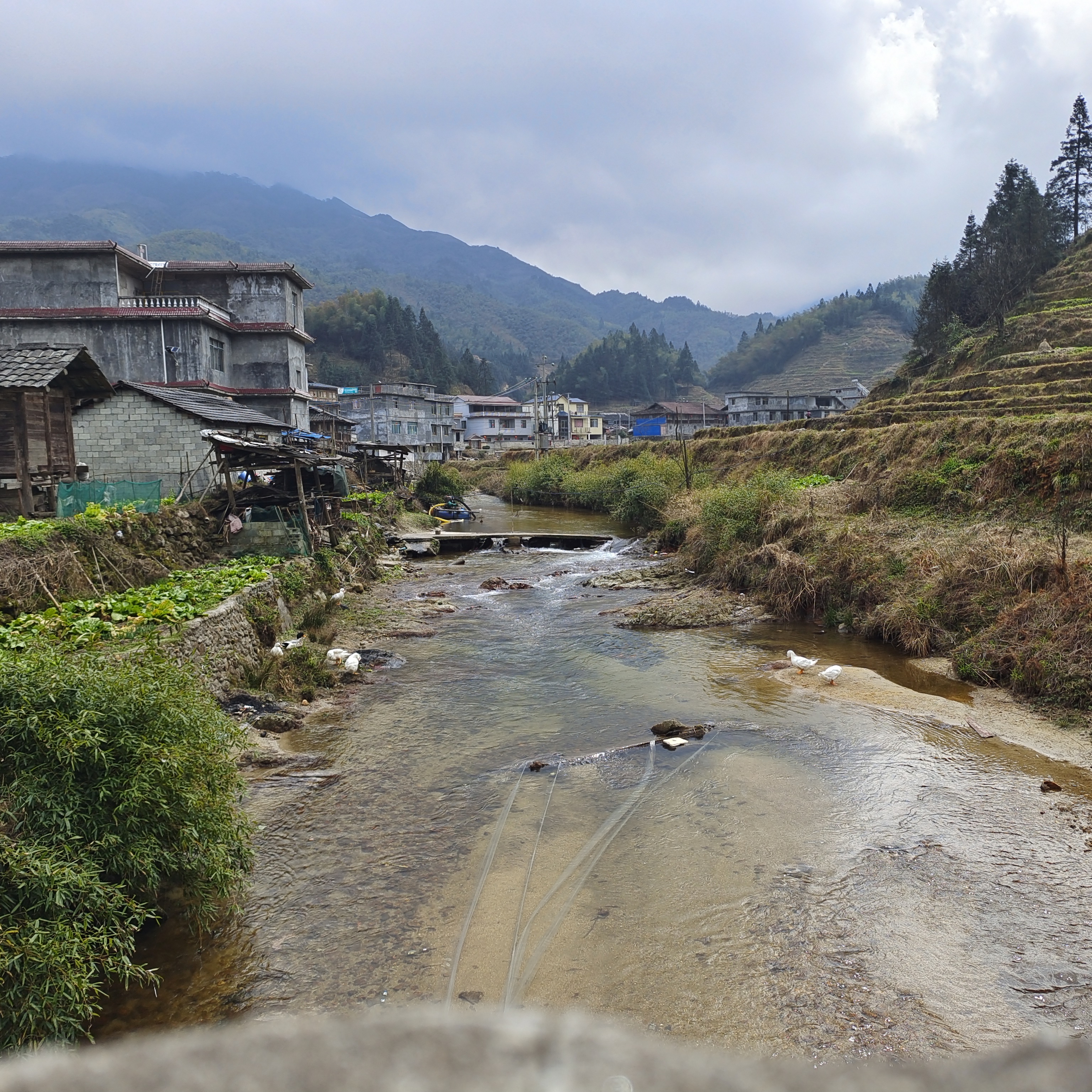 雍里河