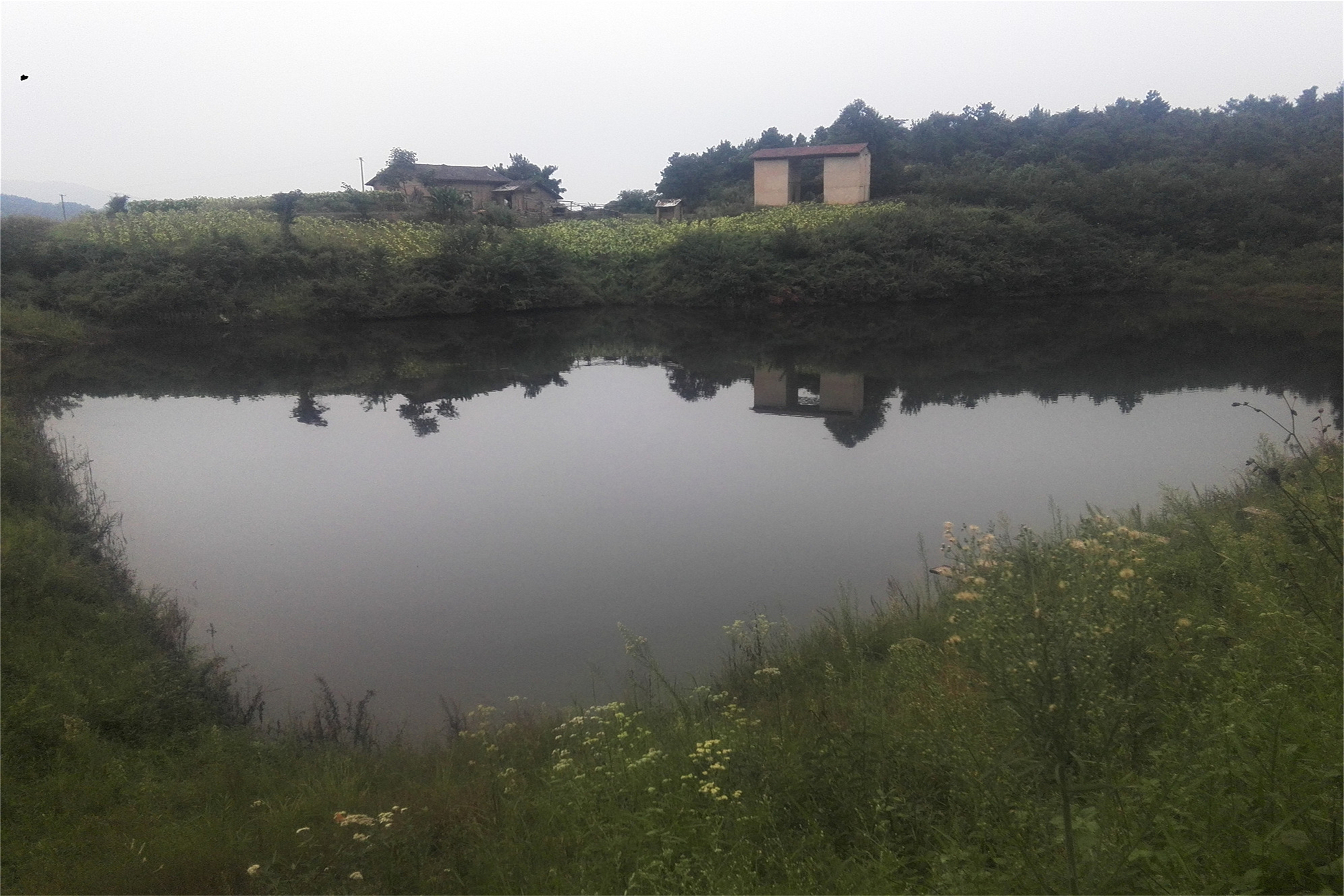 茅山村水库