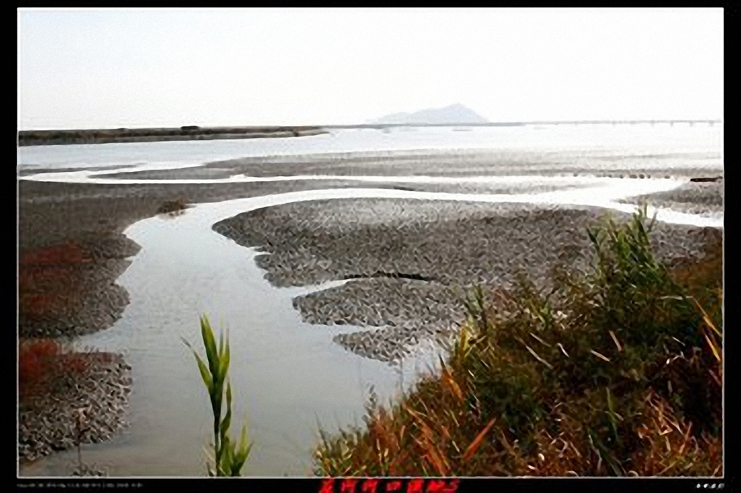 大庄河河口