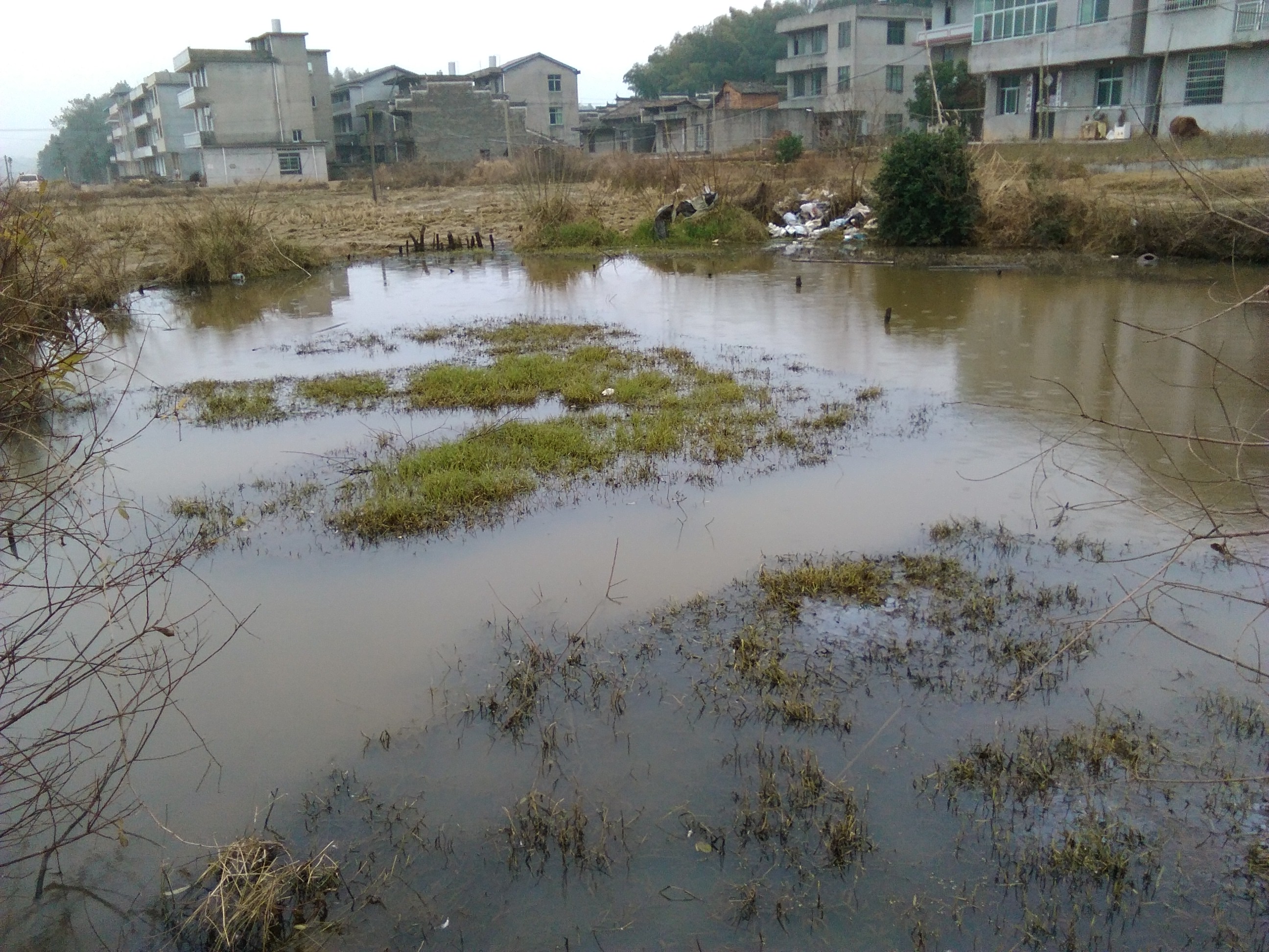 古西村张坑山塘