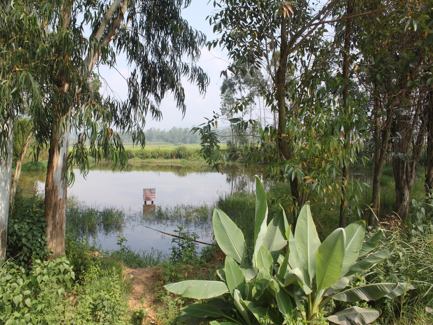 杨柳箐坝水库