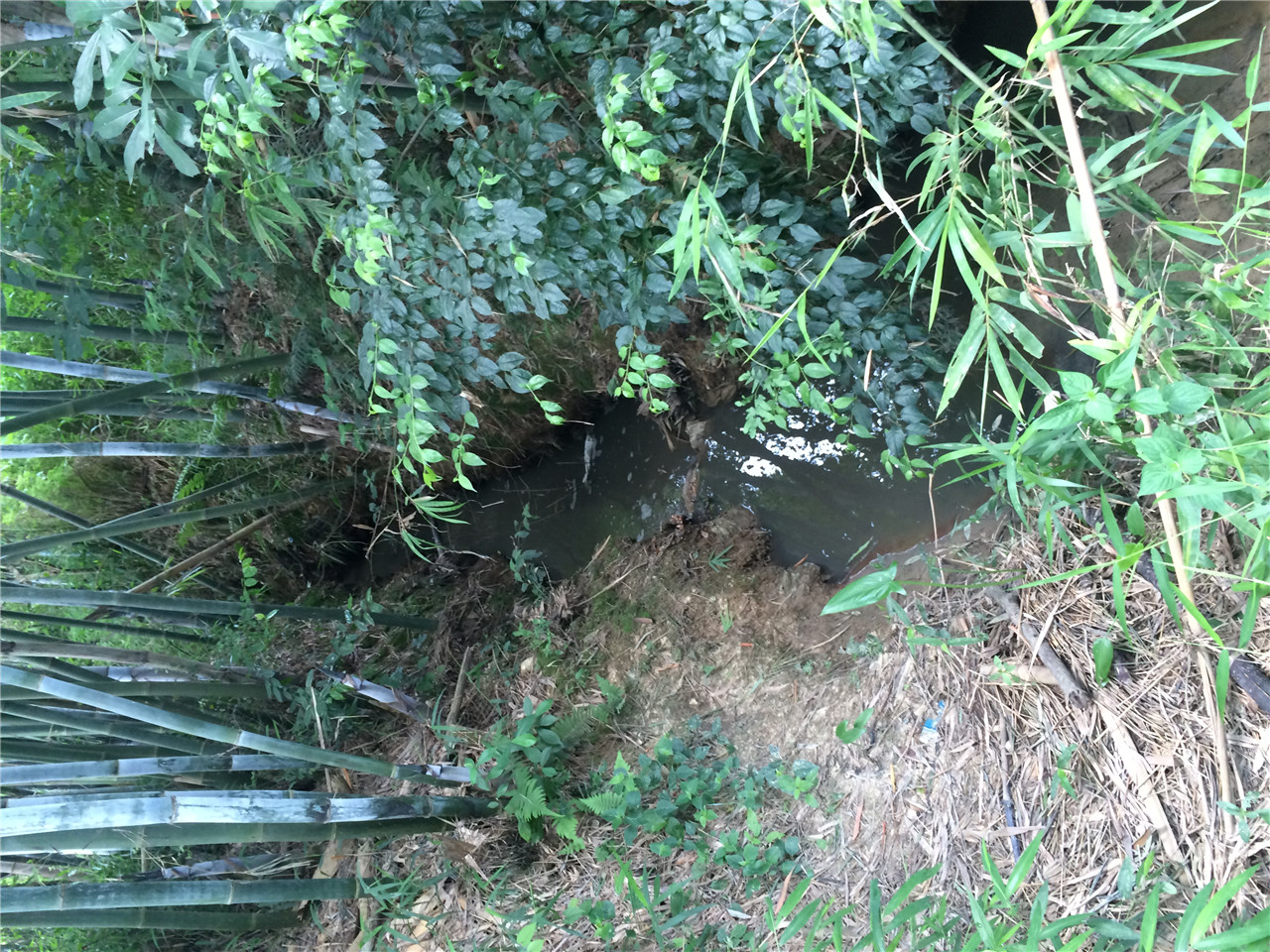 埧那河