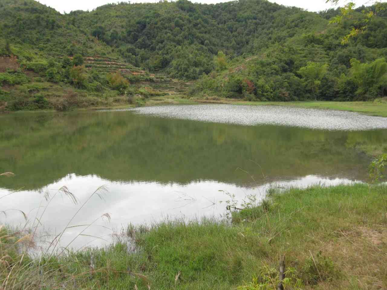 中社水库