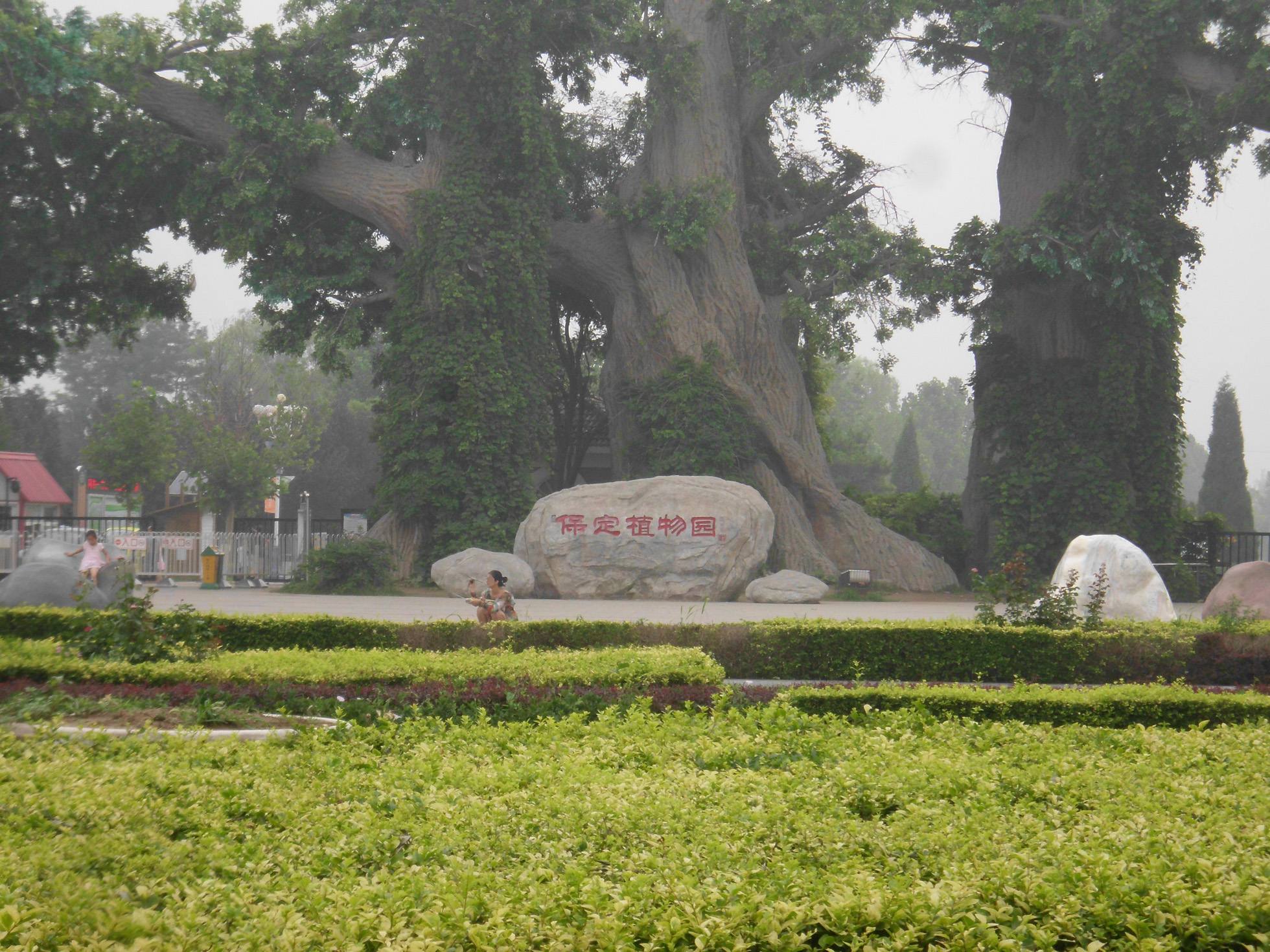 保定市植物园