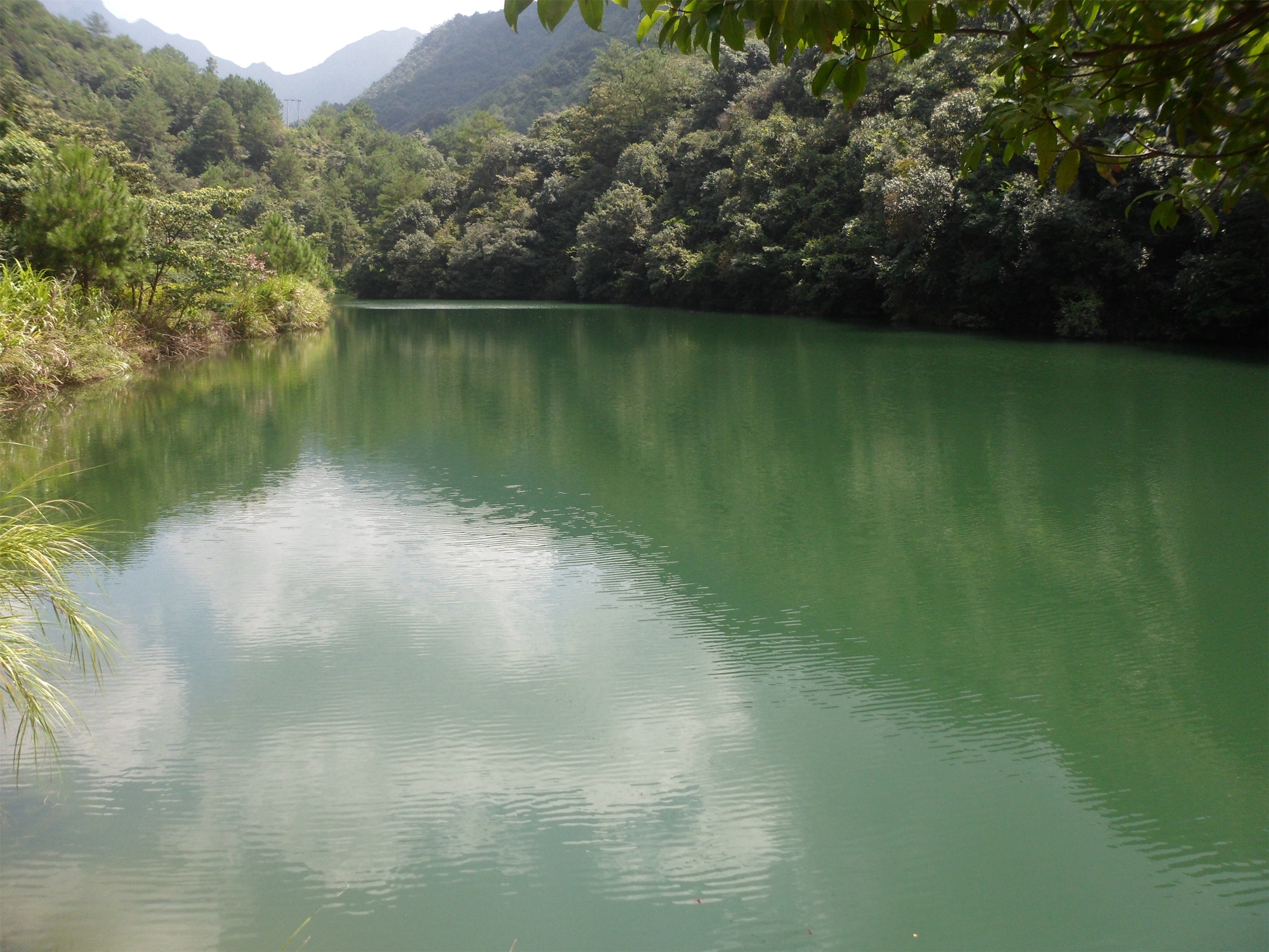 长教水库