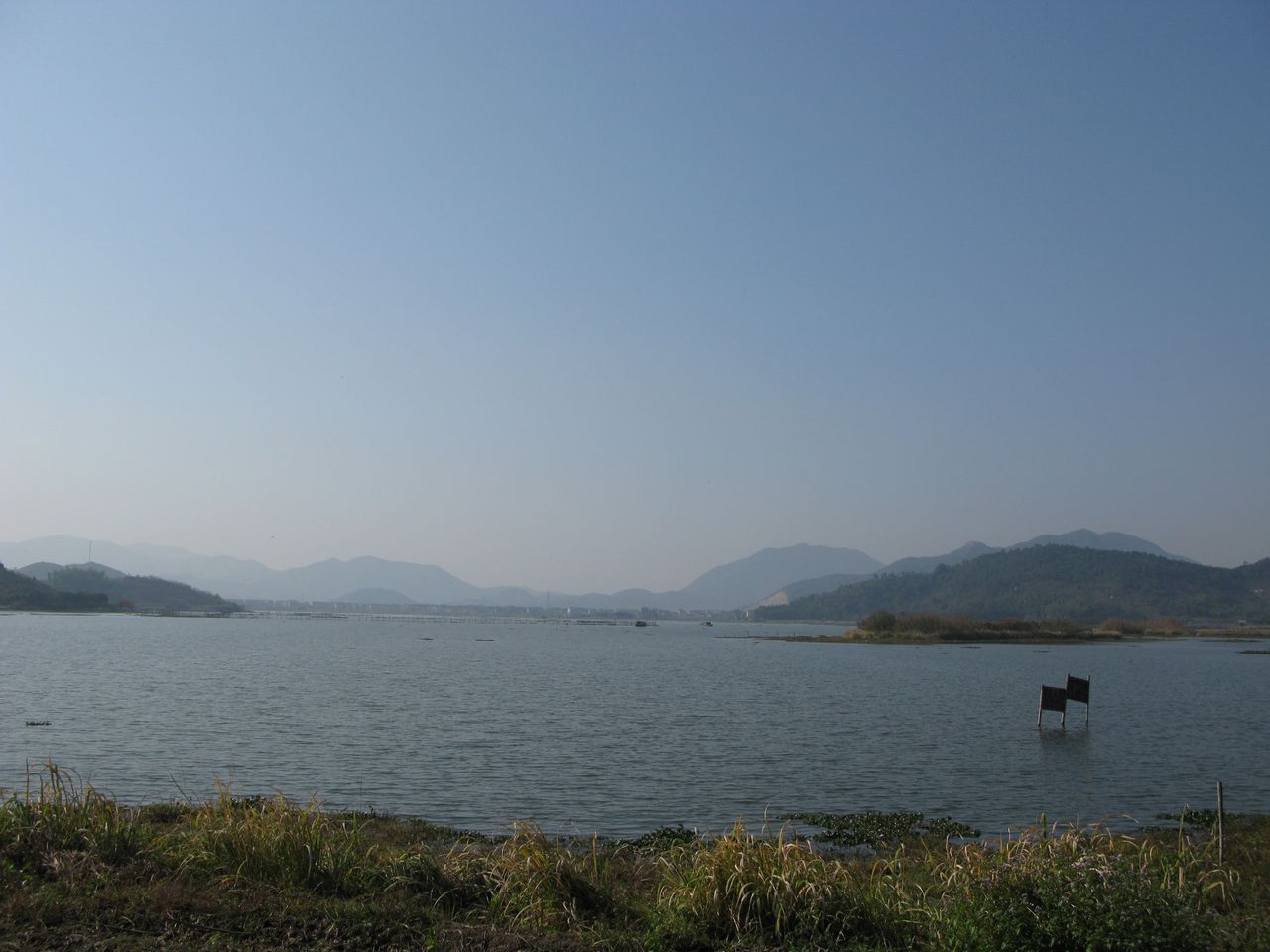 皂李湖