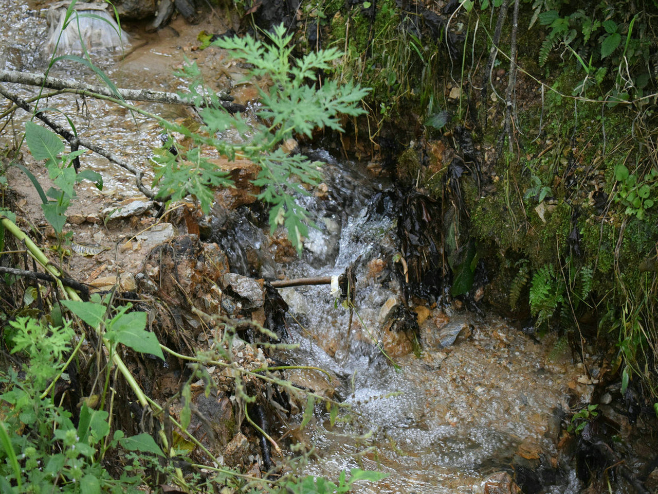 龙洞水