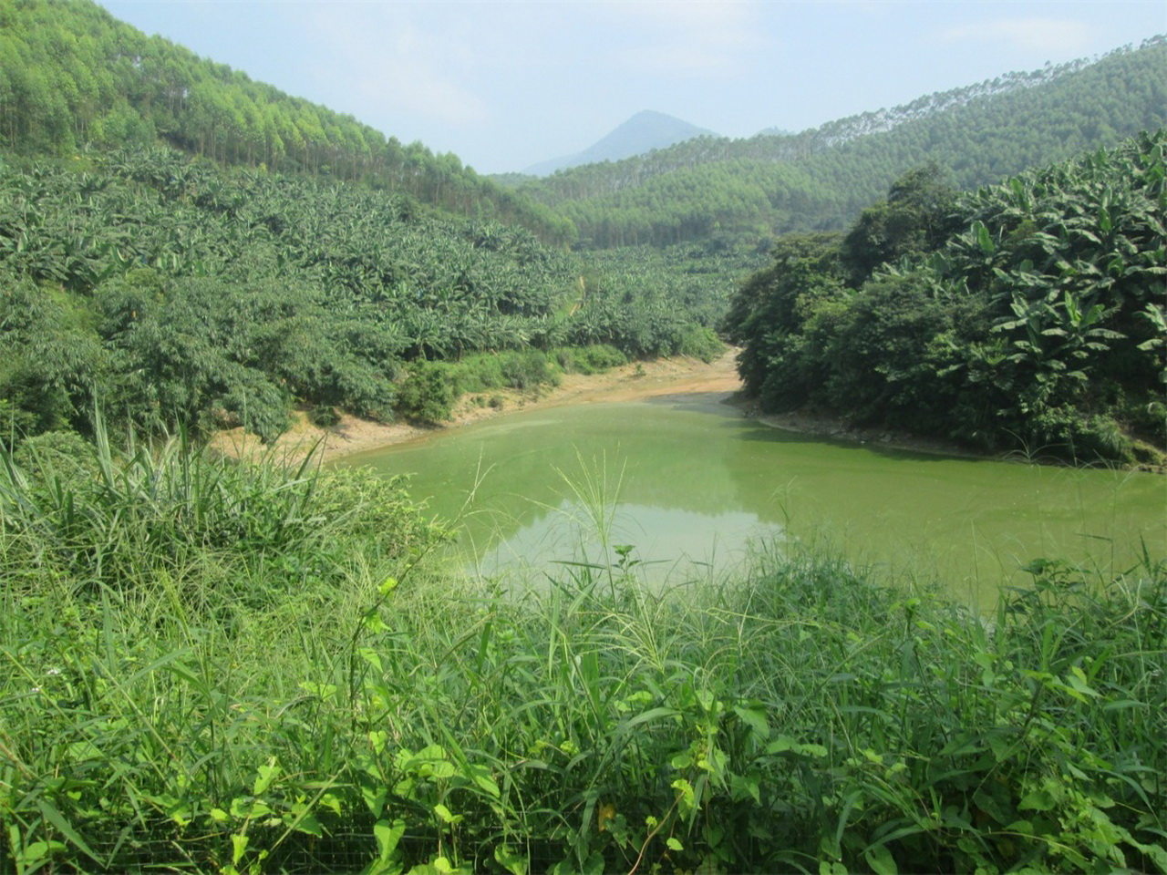 鸿坪水库