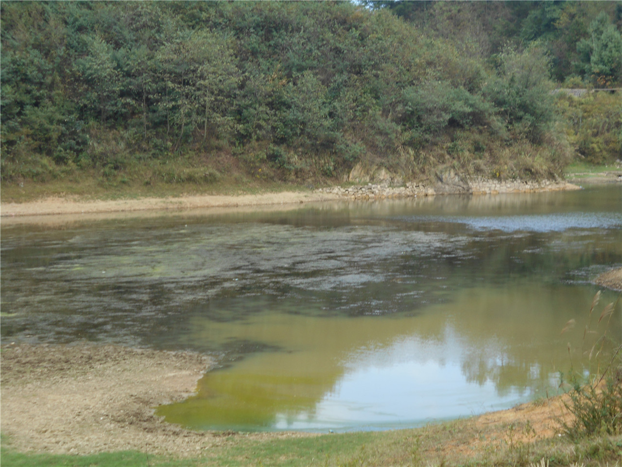 萝卜冲水库