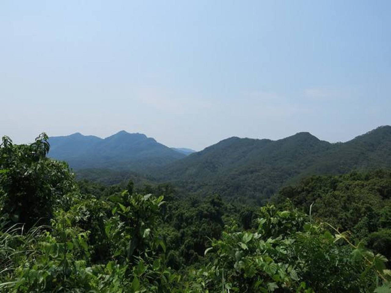 霸王岭东干线管护区