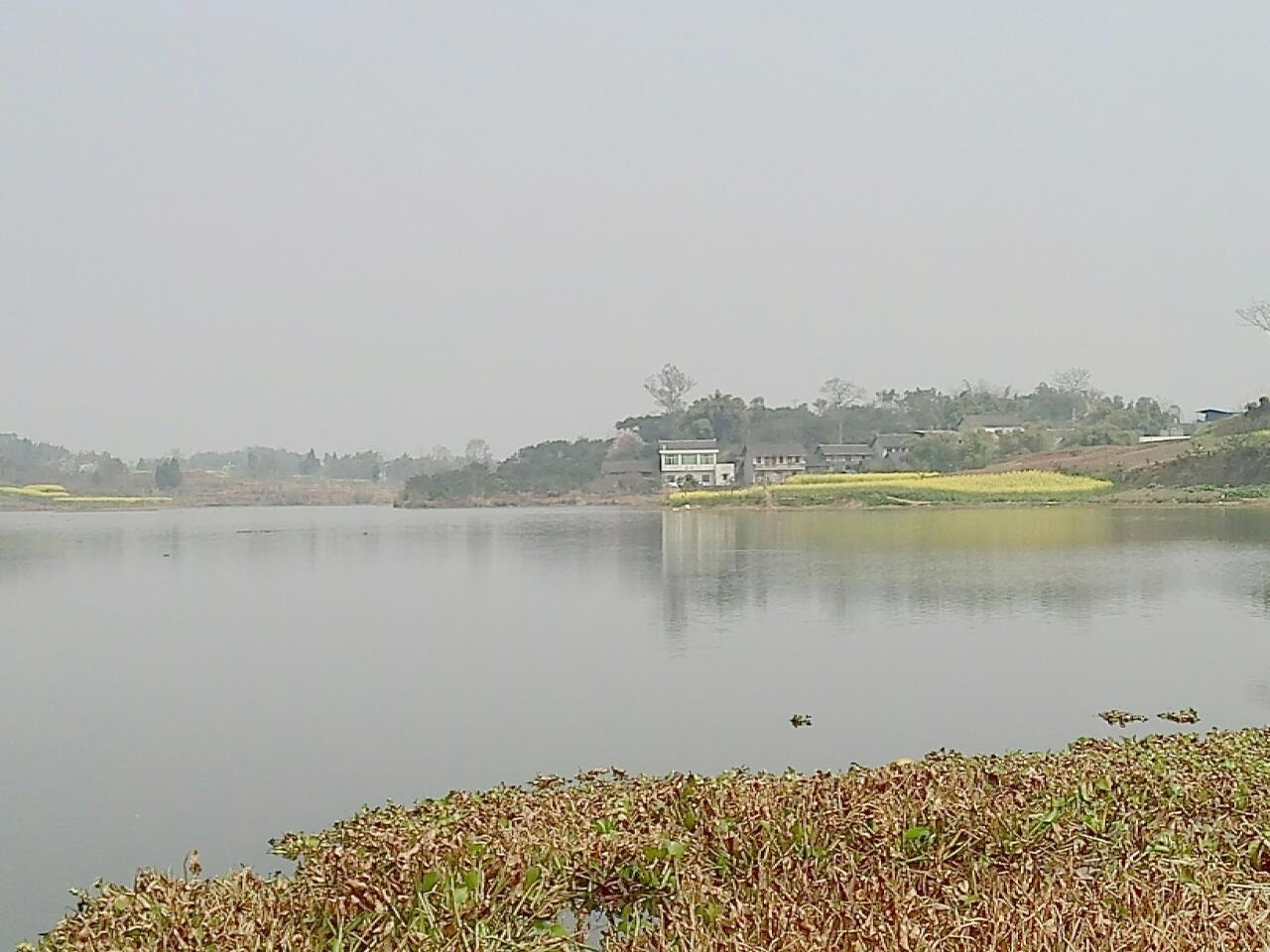 陶湾水库