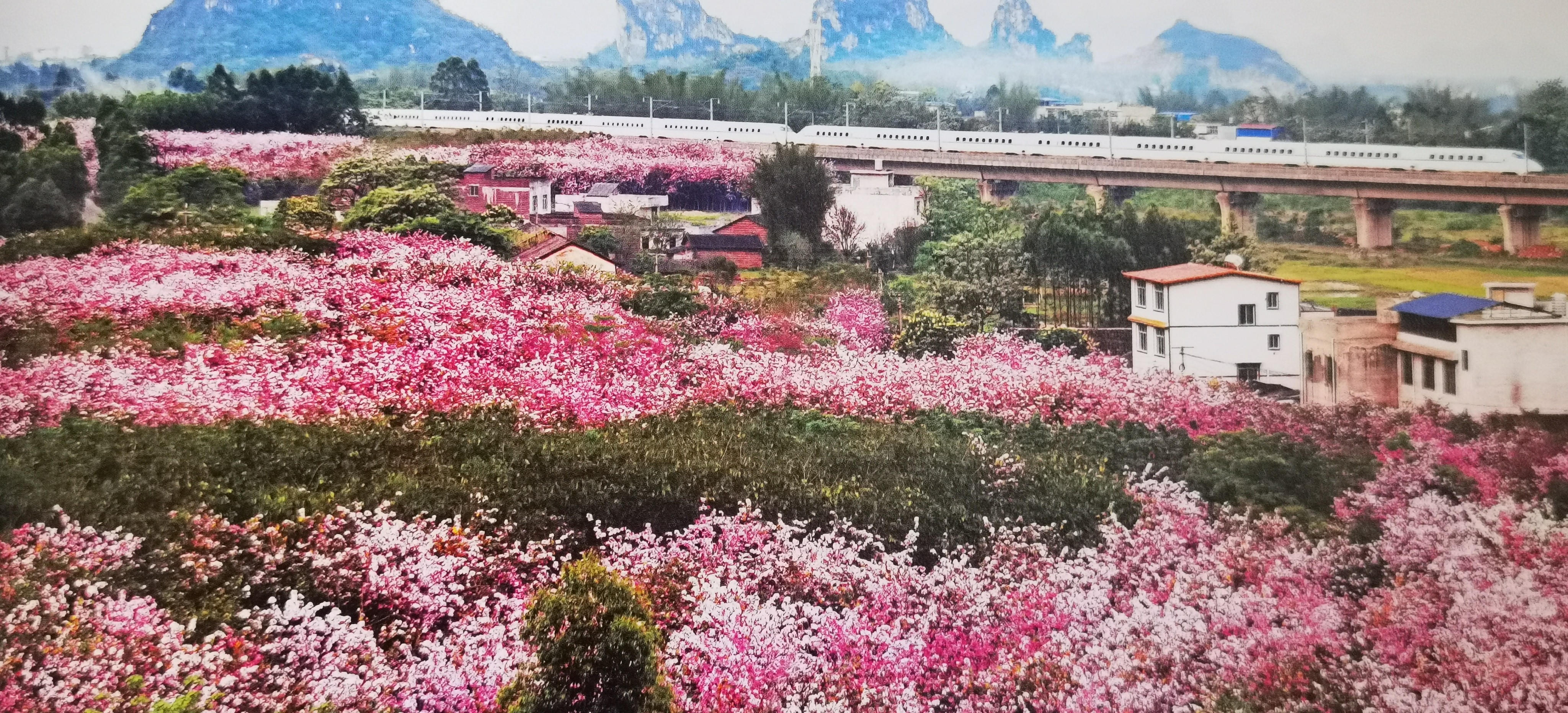 进德镇