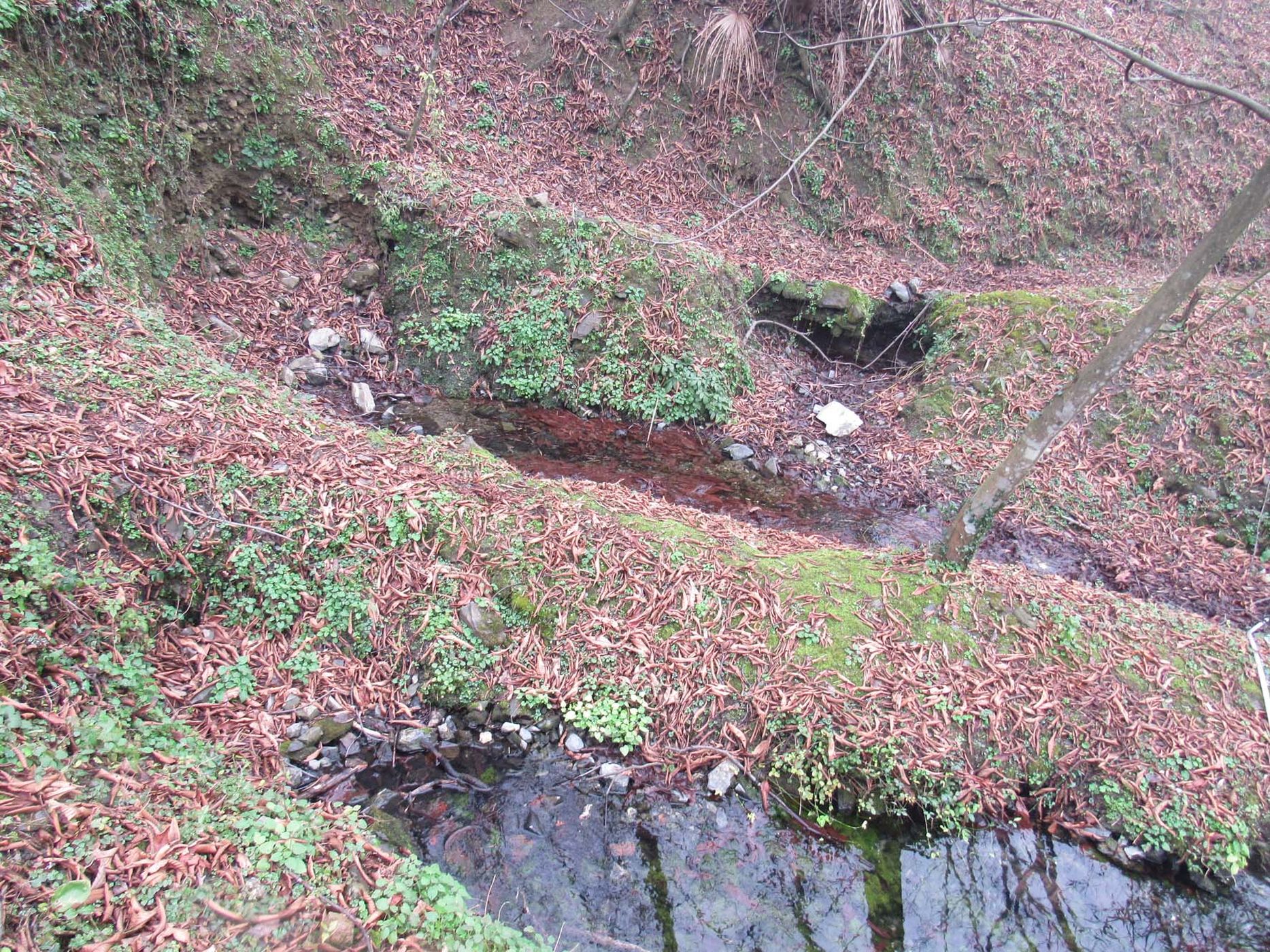 泉水眼