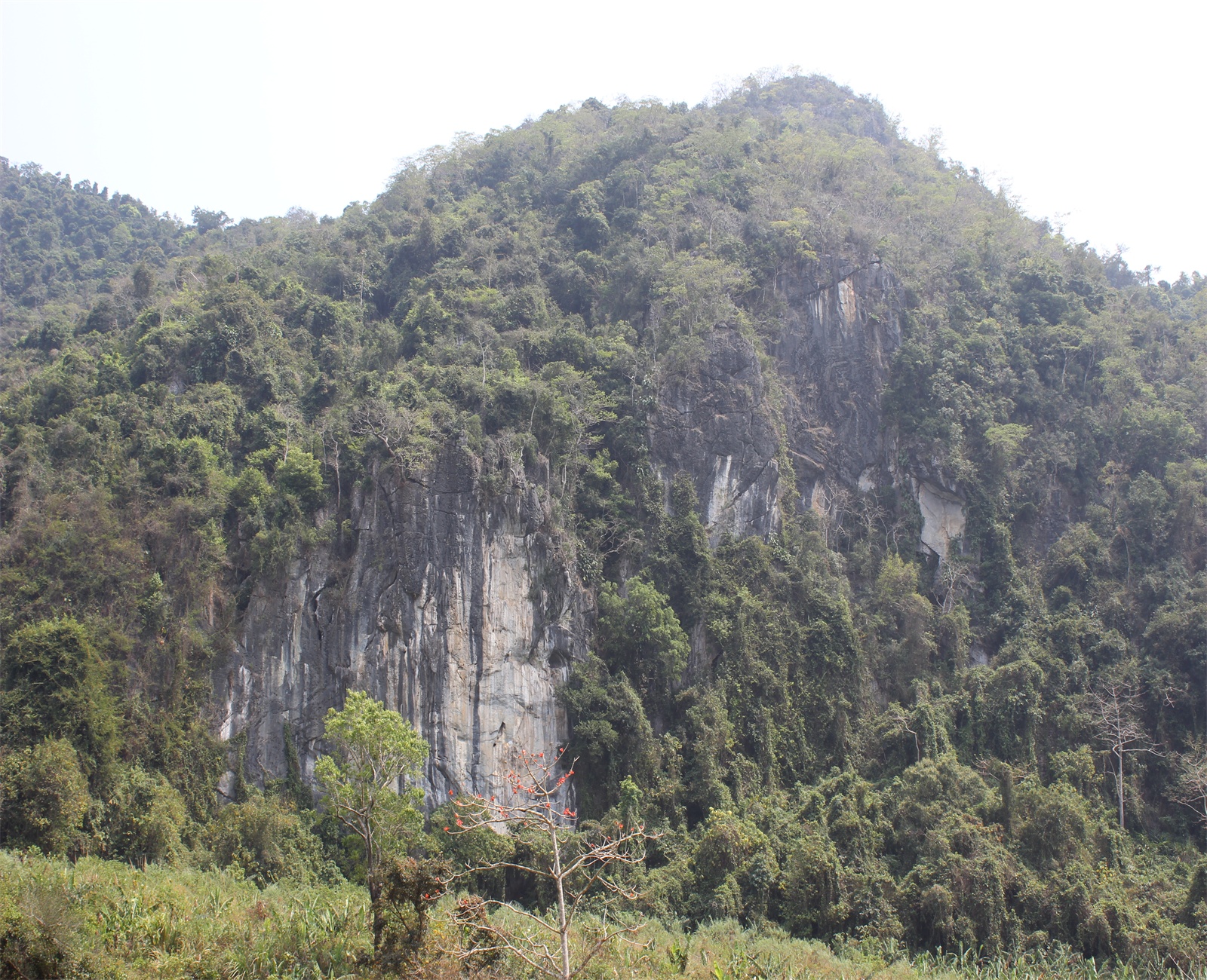 猕猴洞旅游风景区