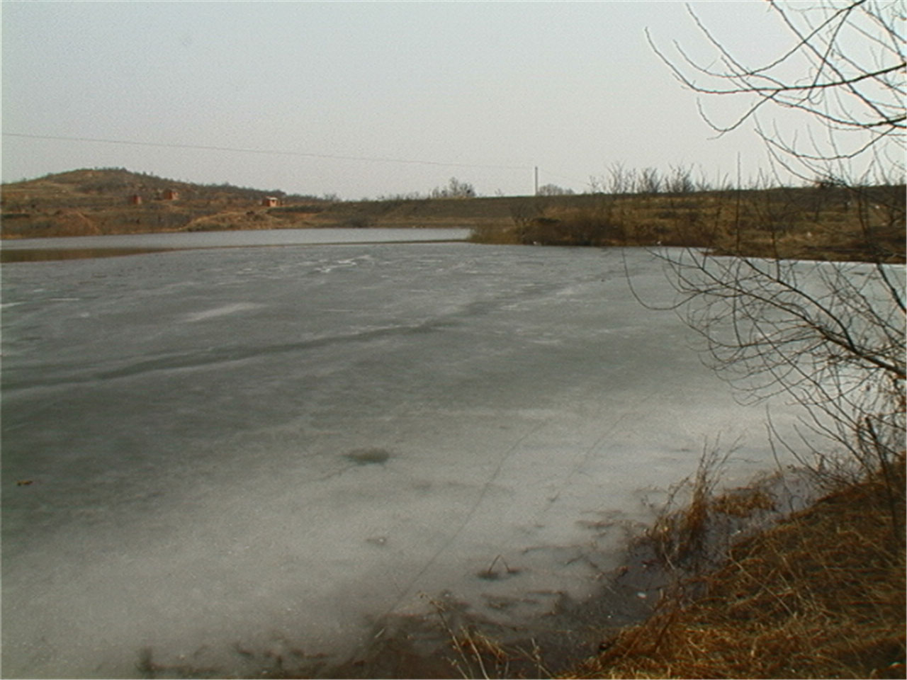 大迟家西马河水库