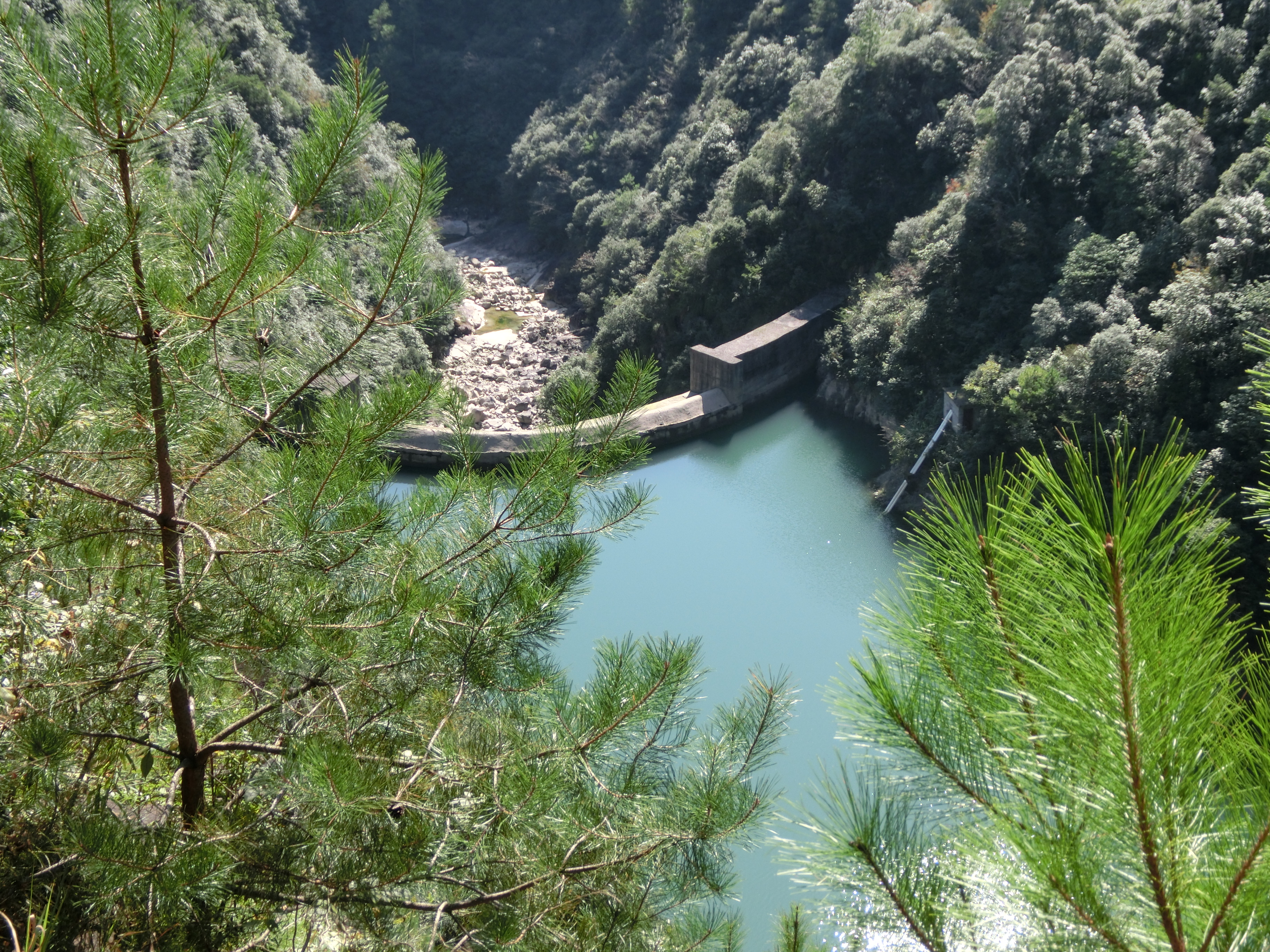 锯板坑水库