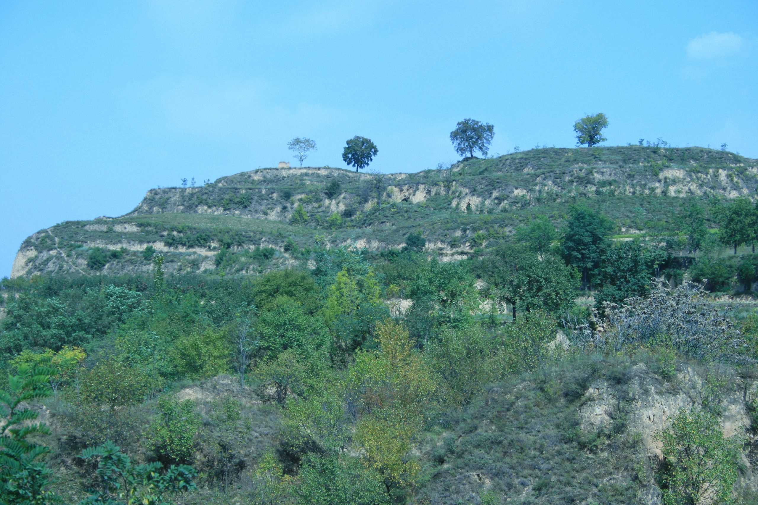 虎山庙遗址