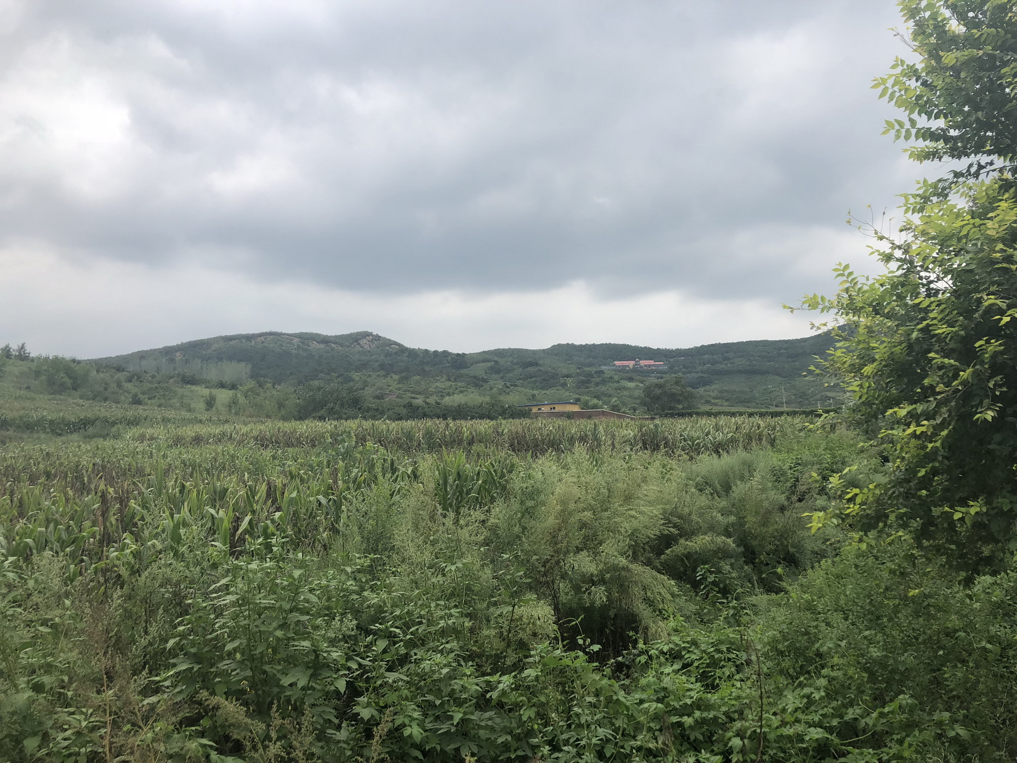 茅儿寺风景区