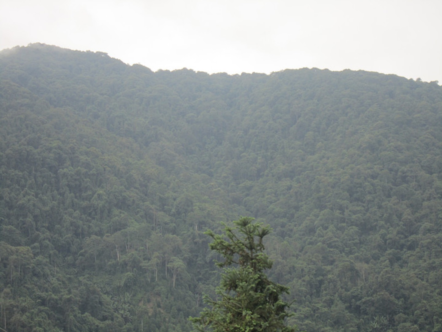 大围山自然保护区