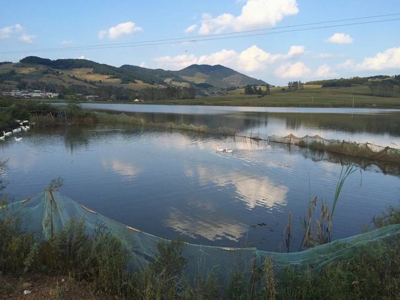 大鹿水库