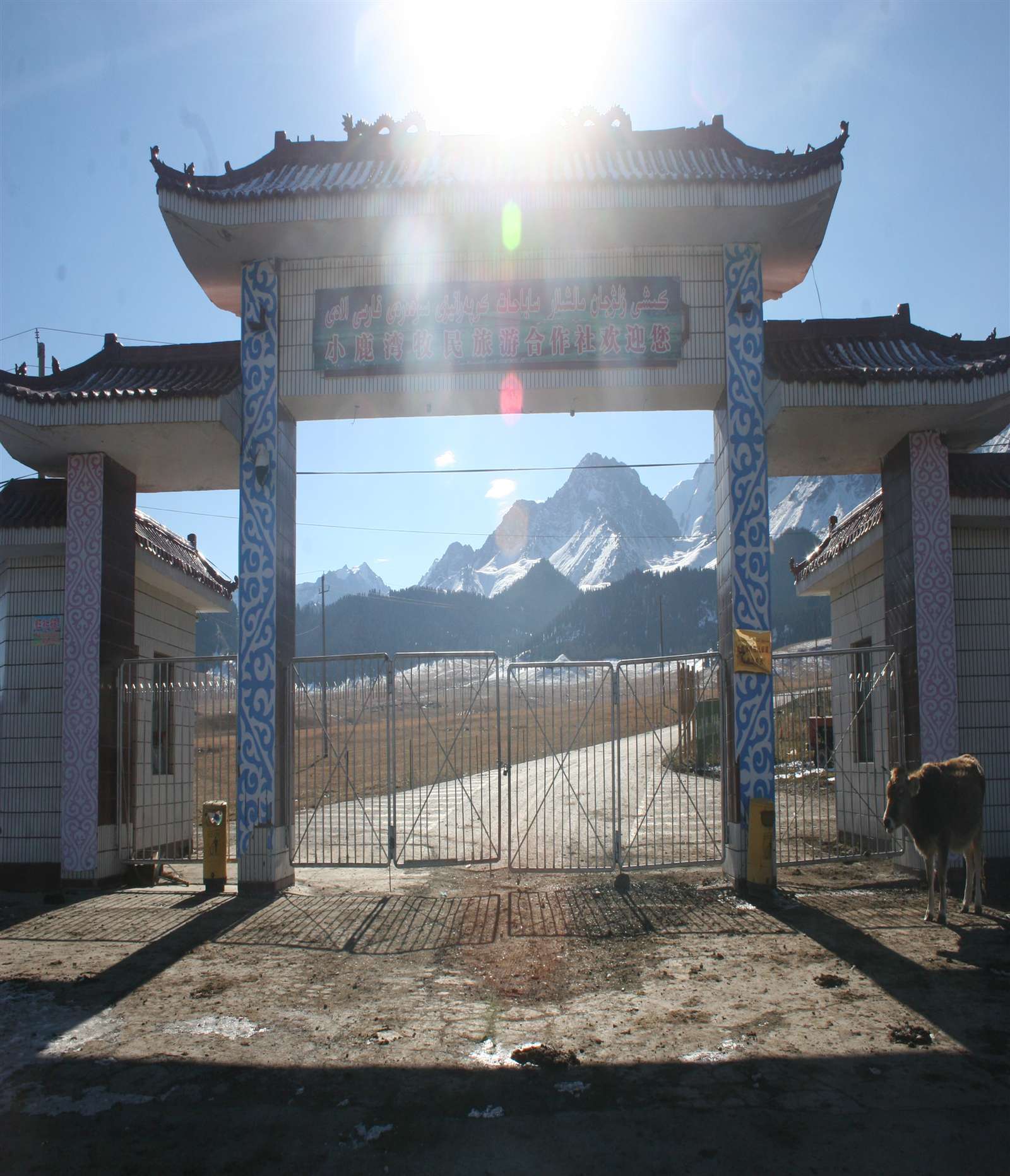 沙湾县鹿角湾景区