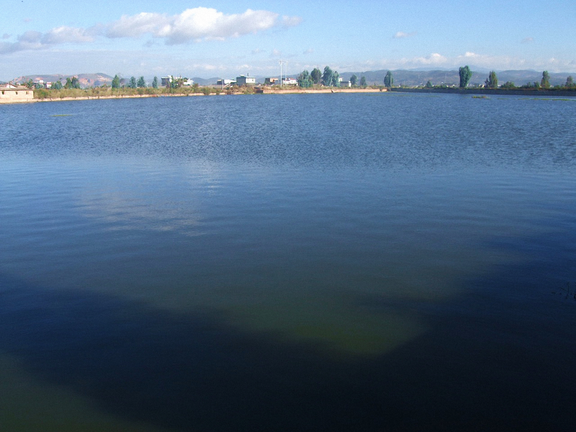 江场麦田海水库