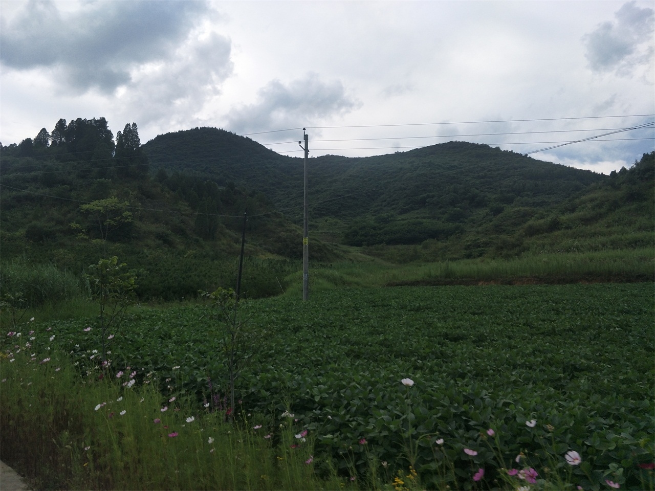 太阳寺自然保护区