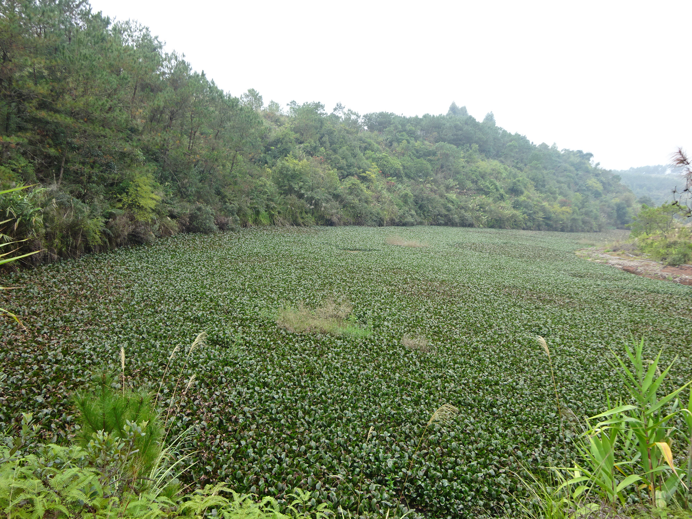 虾塘水库