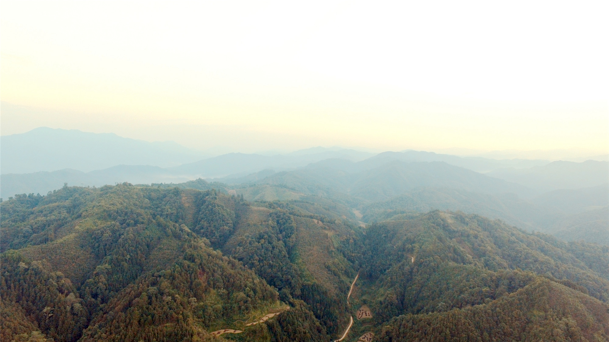 麒麟山森林保护区