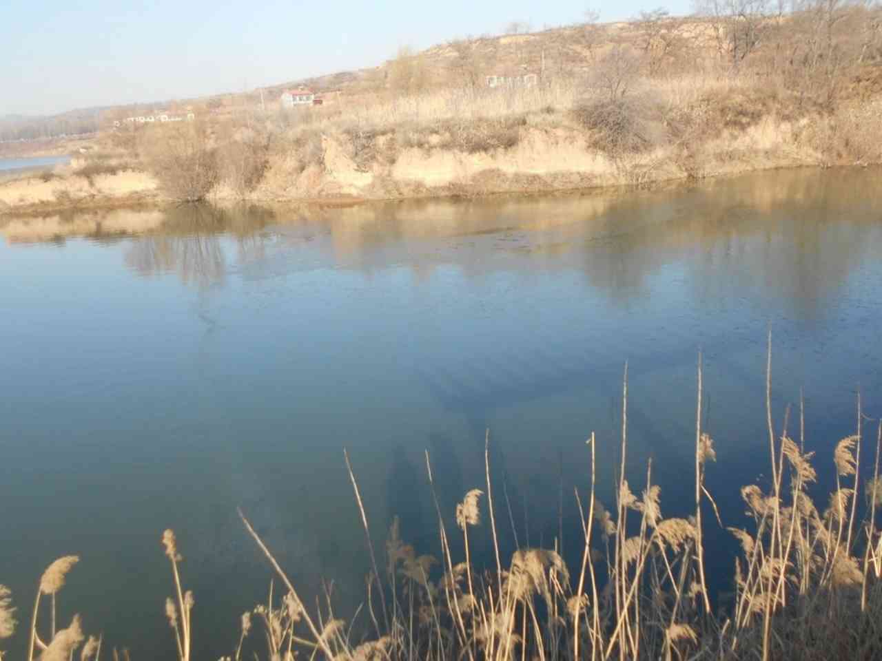 霜泽水河